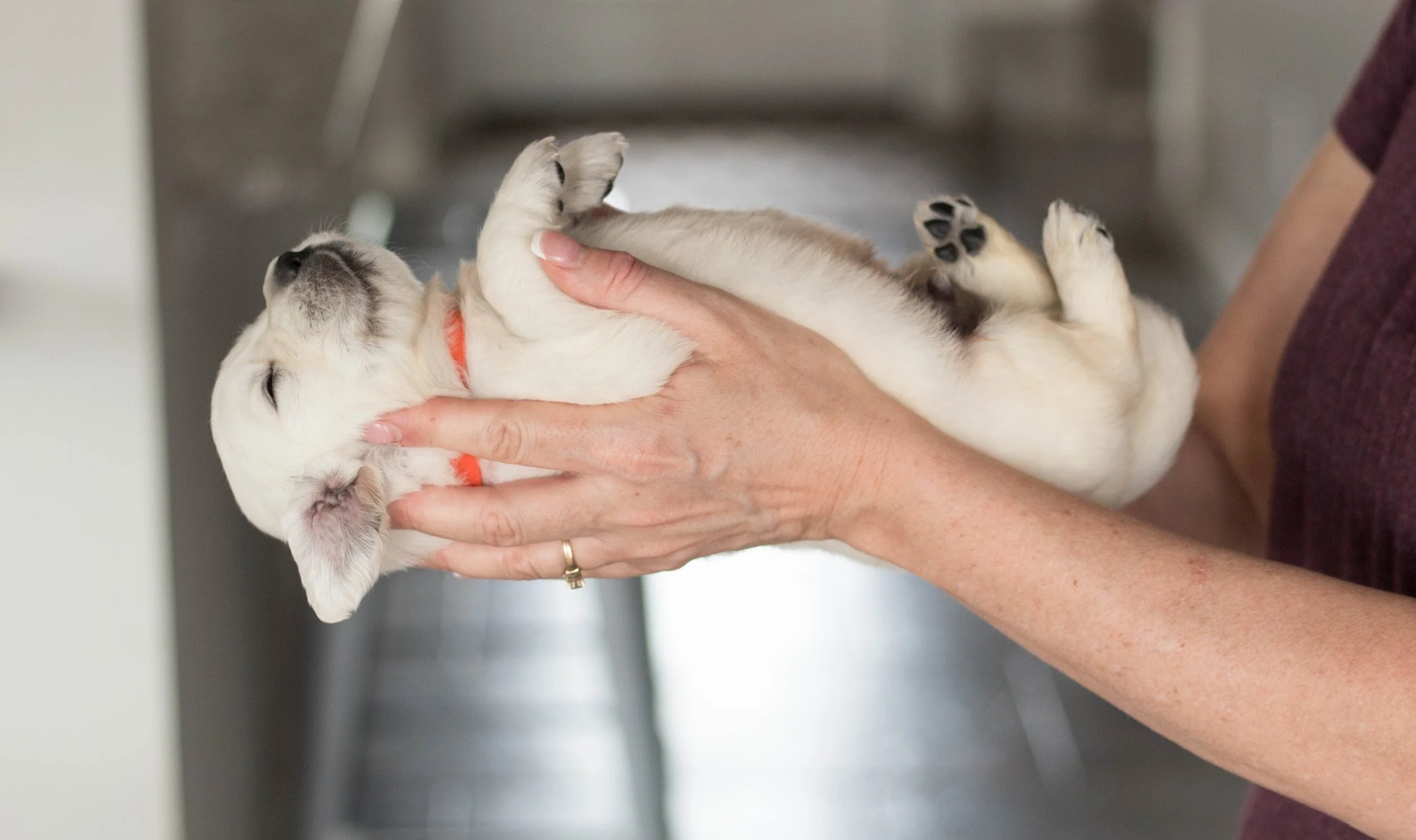 37 (1 of 1)_Original(1).jpeg