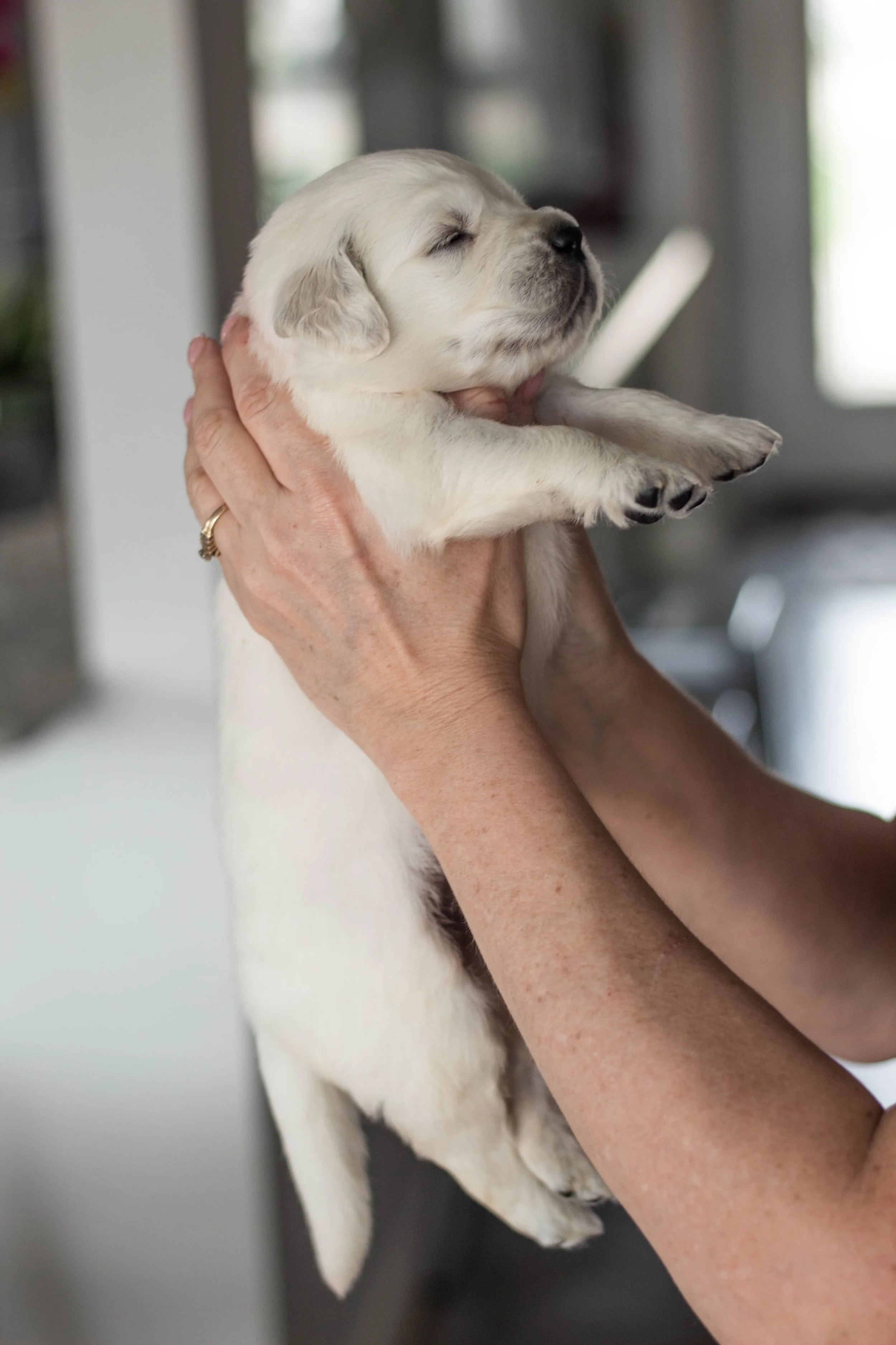 35 (1 of 1)_Original.jpeg