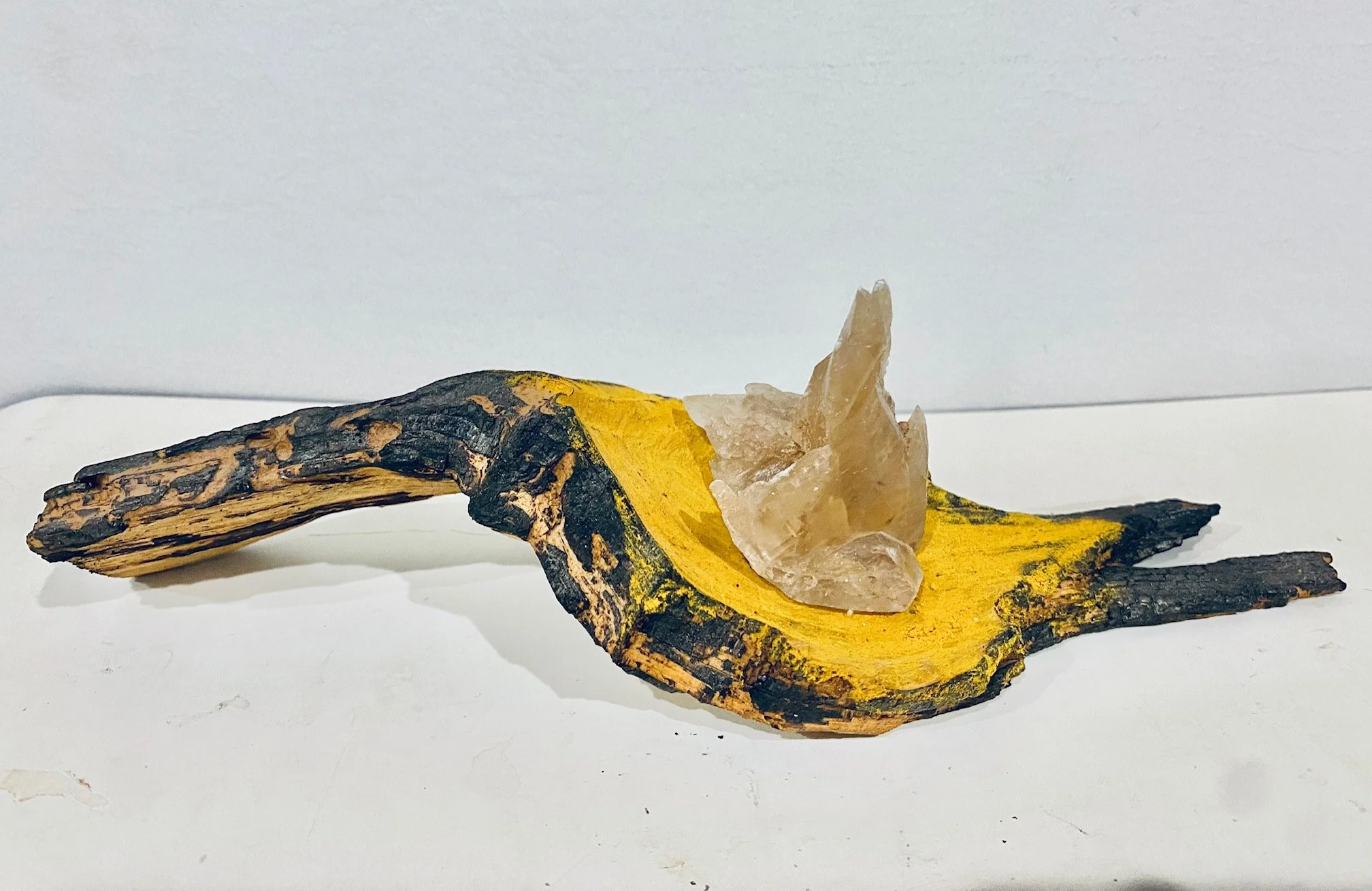 Beatrice Wolert, Healing the Fallen Trees #002 (2020-present), Charred found wood, turmeric, aragonite and tourmaline, 3 x 10 x 3 1/2 “