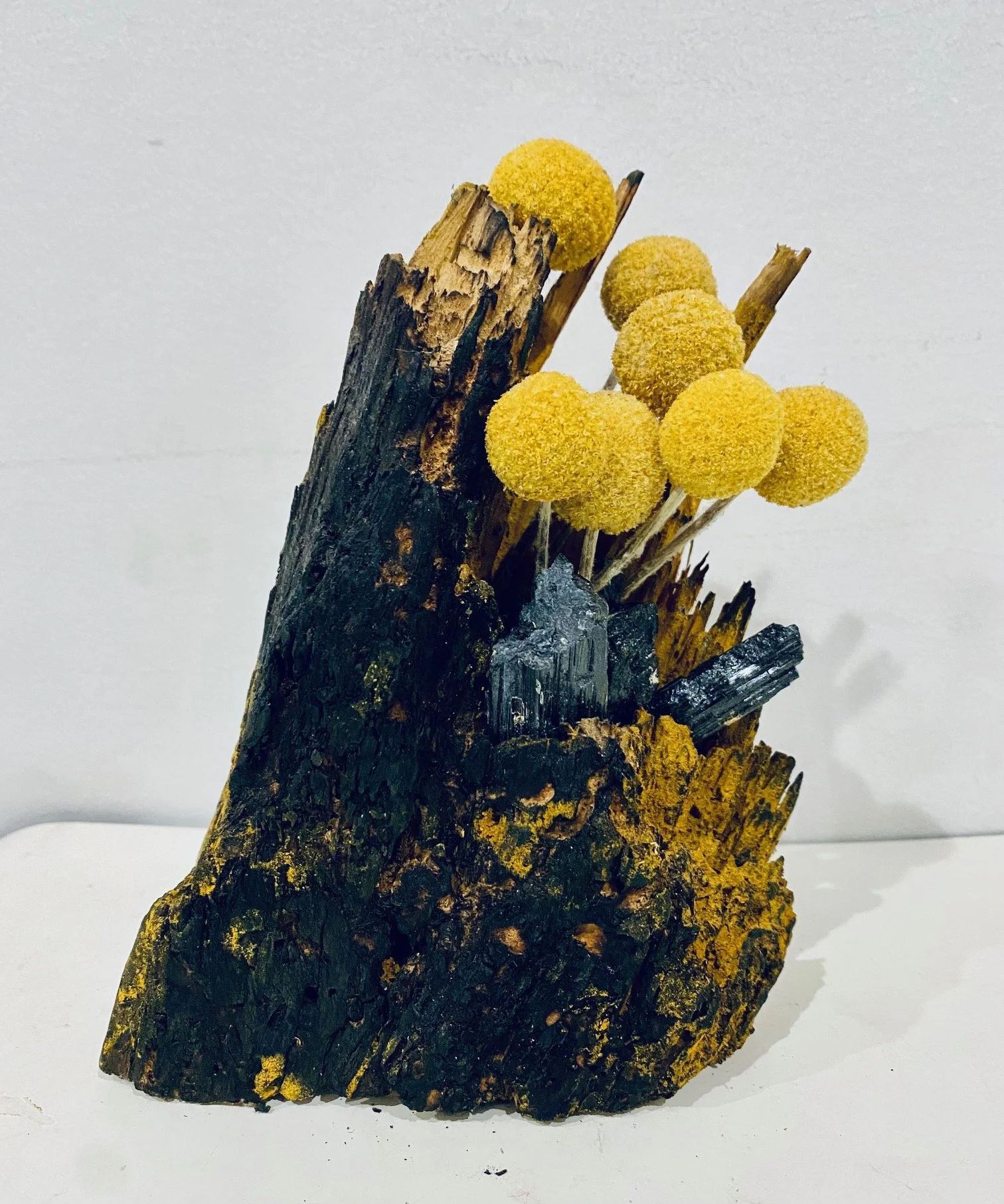 Beatrice Wolert, Healing the Fallen Trees #003 (2020-present), Charred found wood, turmeric, globe thistle and tourmaline, 7 1/2 x 5 1/2 x 3 3/4 “