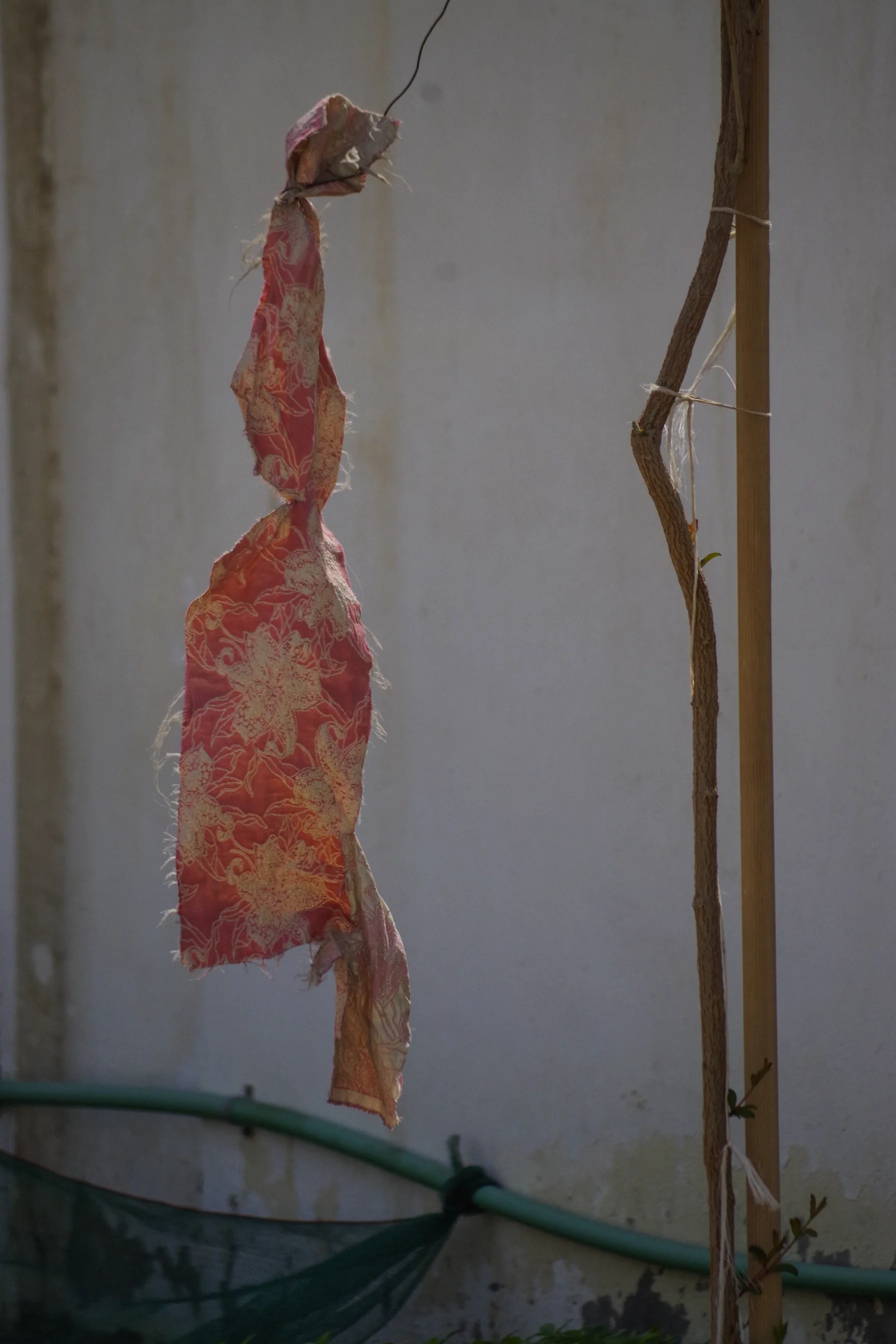 20150929-_IGP2967.jpg