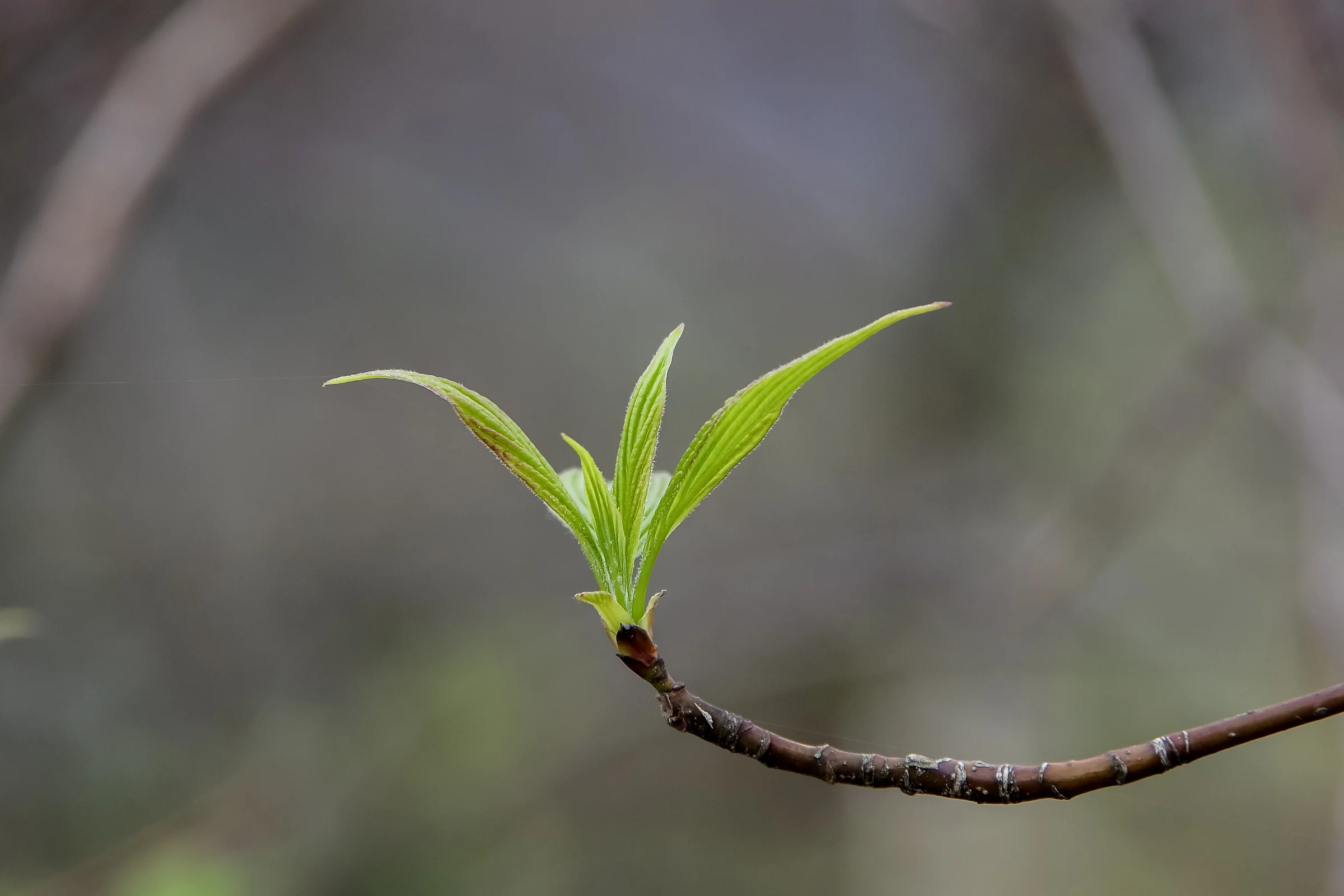 20180507-IMGP2575.jpg