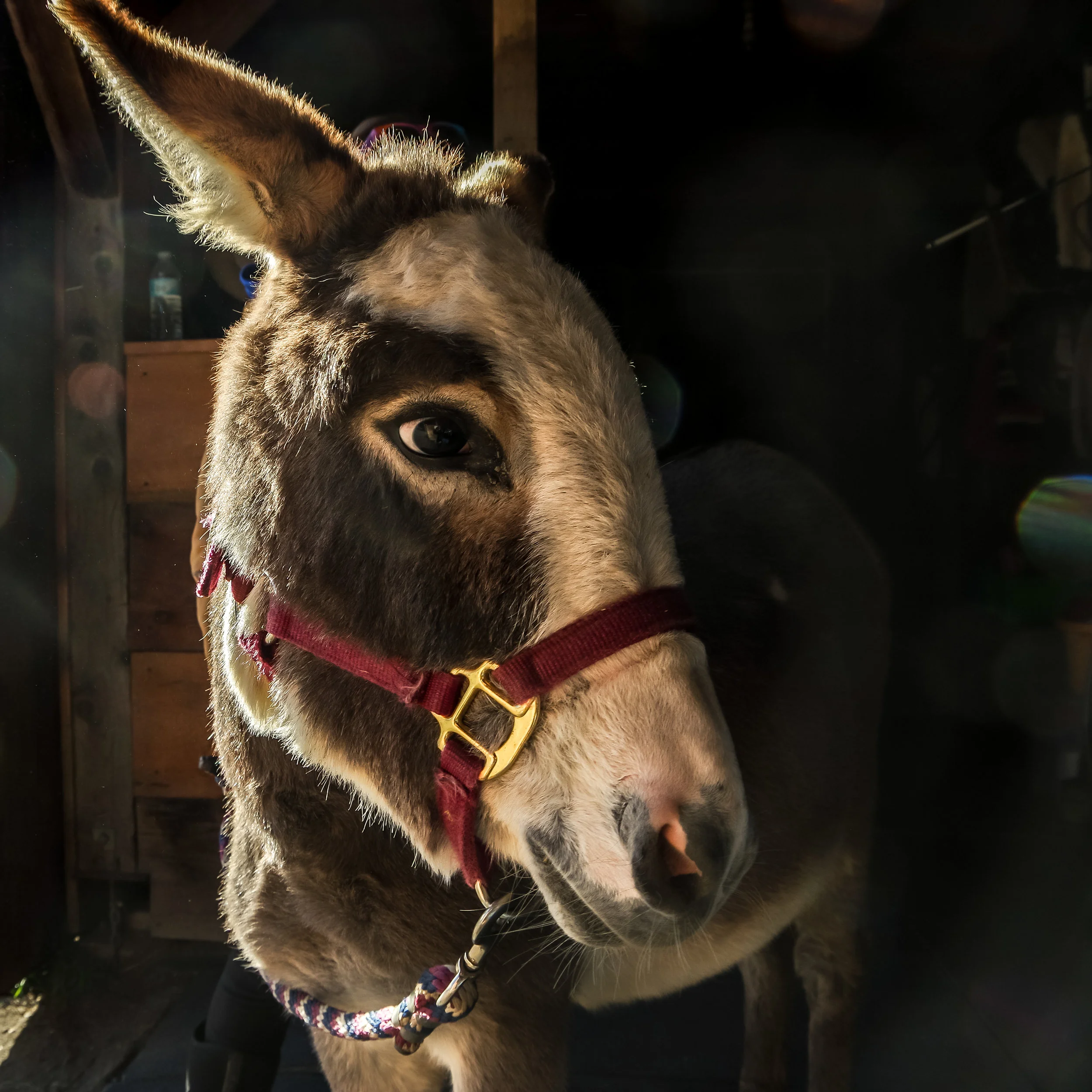 20181026-IMGP6444.jpg