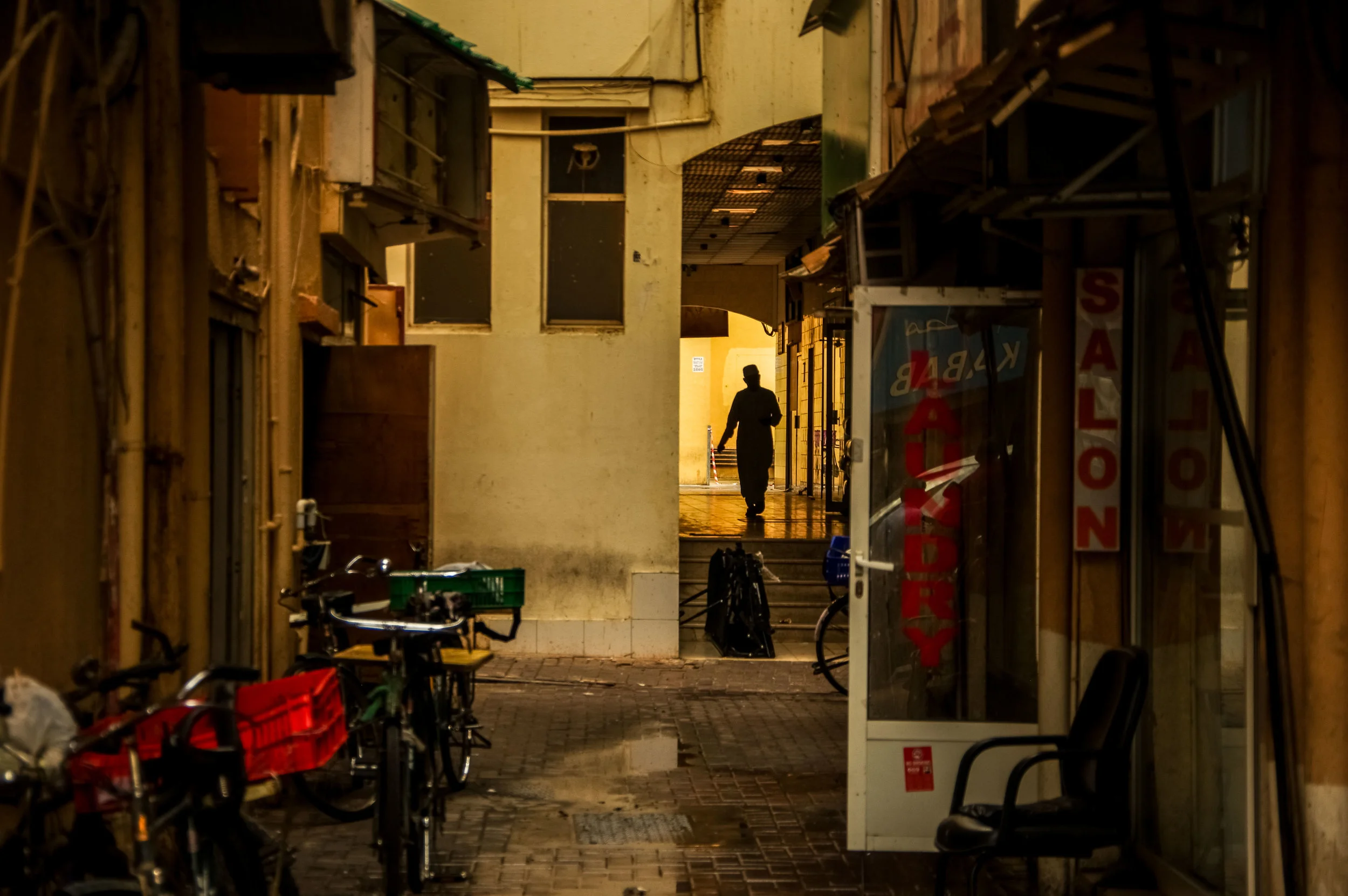 20190203-IMGP3101.jpg