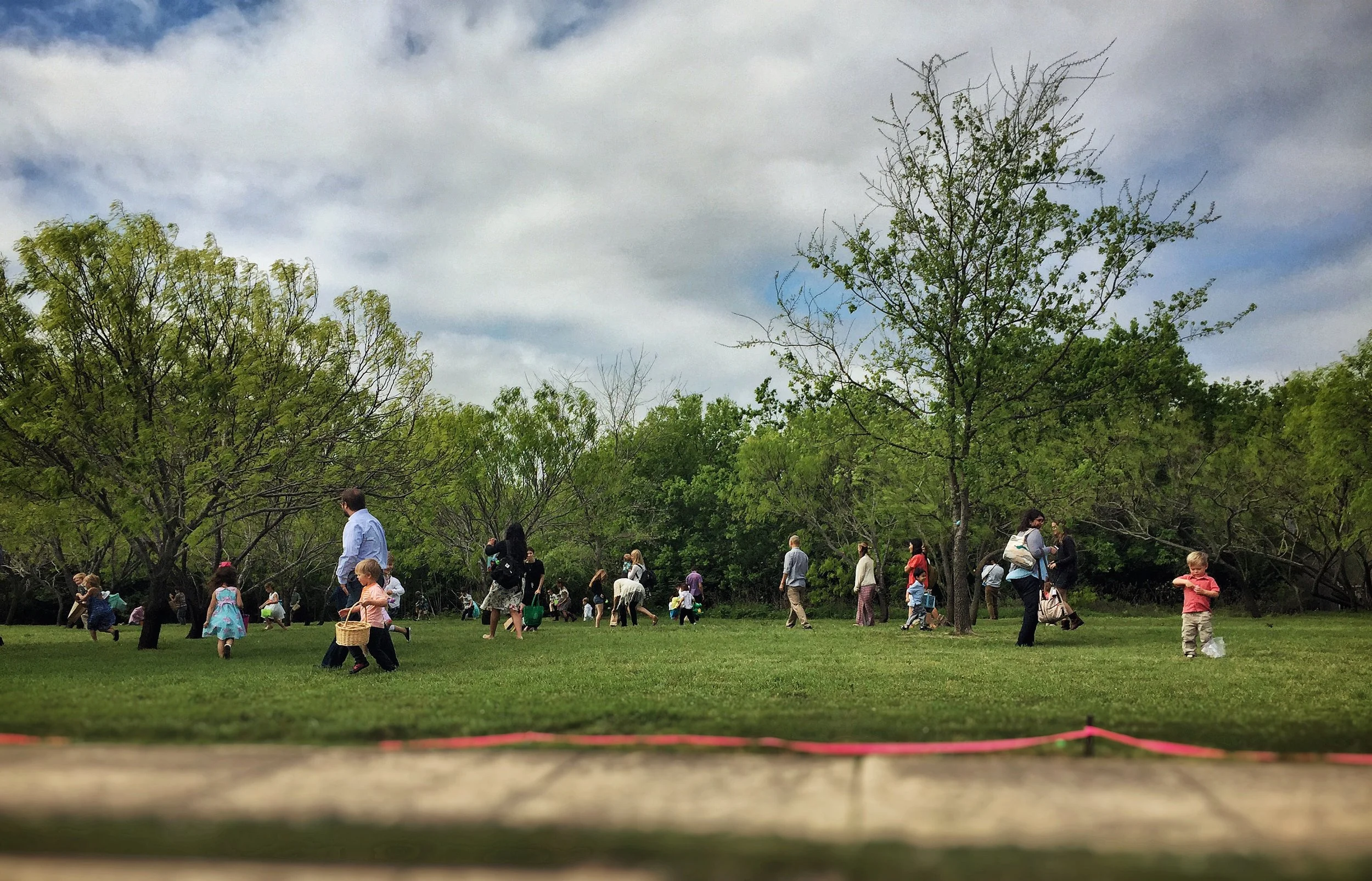 Egg Hunt