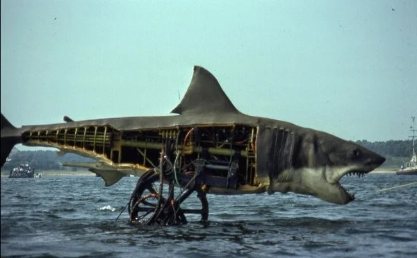 The Hidden Glory of Bruce the Shark