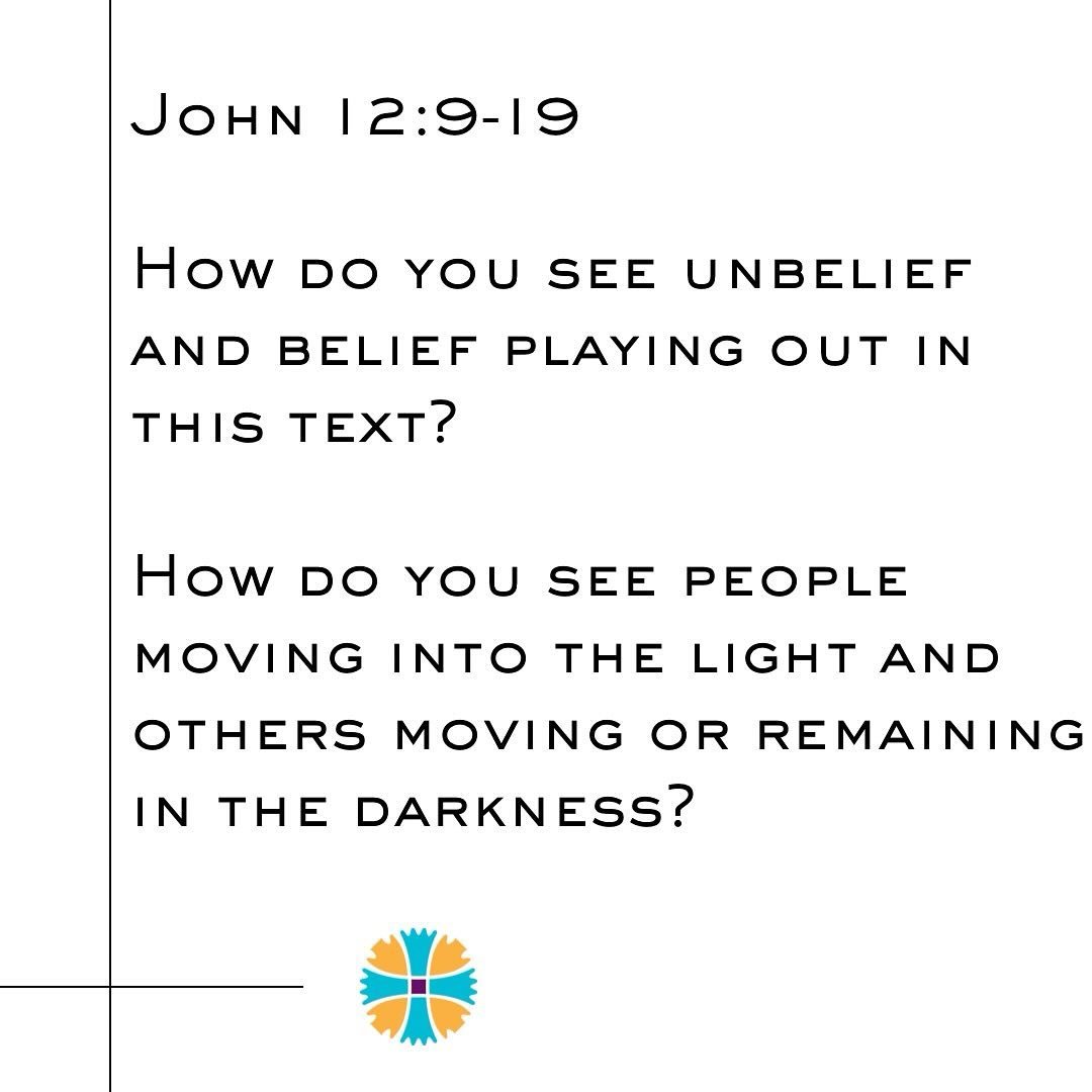 Continuing in the gospel of John, tomorrow we'll learn from John 12:9-19. The questions we encourage you to reflect on are: 

How do you see unbelief&nbsp;and belief playing out in this text? 

How do you see people moving into the light and others m