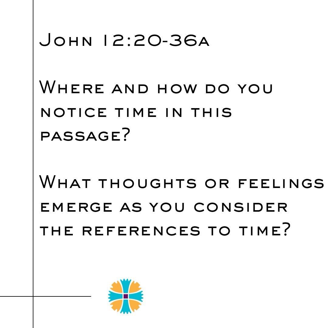 Continuing in the gospel of John, this morning we'll learn from John 12:30-36. The questions we encourage you to reflect on are: 

Where and how do you notice time in this passage?

What thoughts or feelings emerge as you consider the references to t