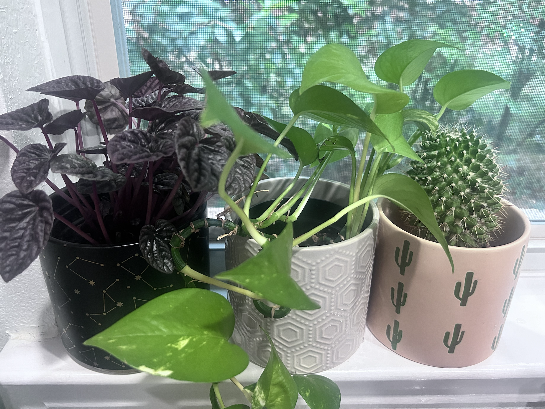 Tending to What God Has Provided 