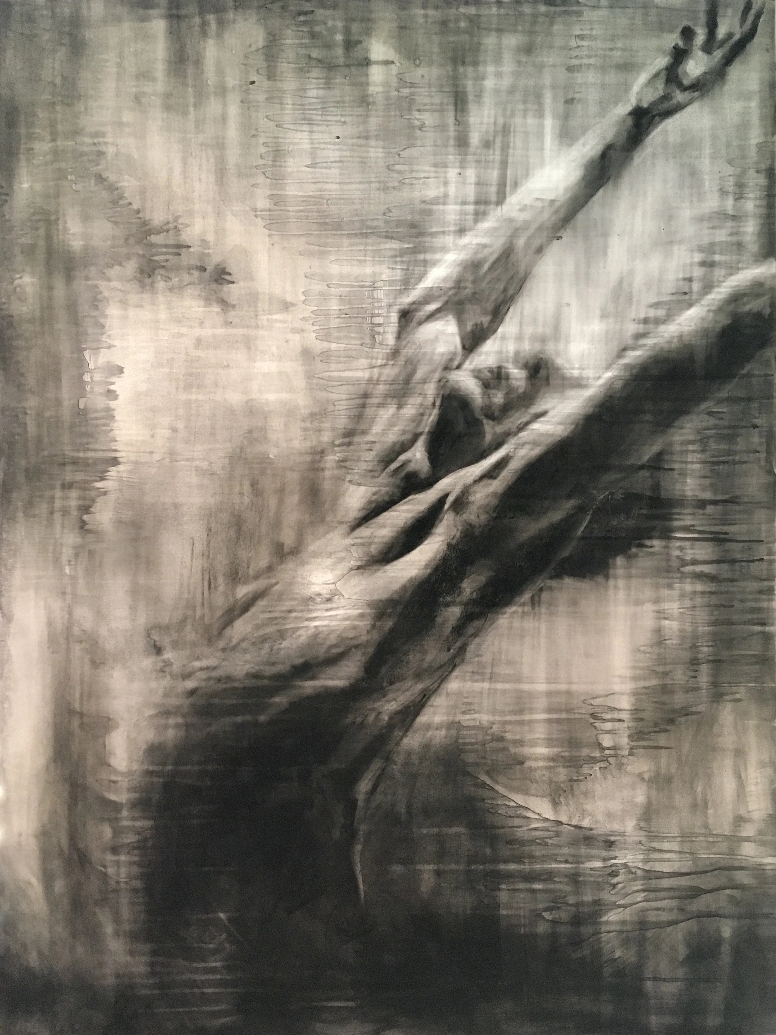 Weekly News | 2.20.26