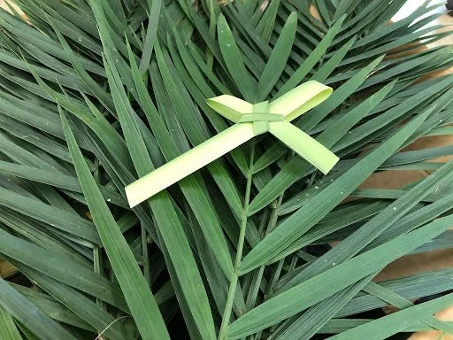 palm cross.jpeg