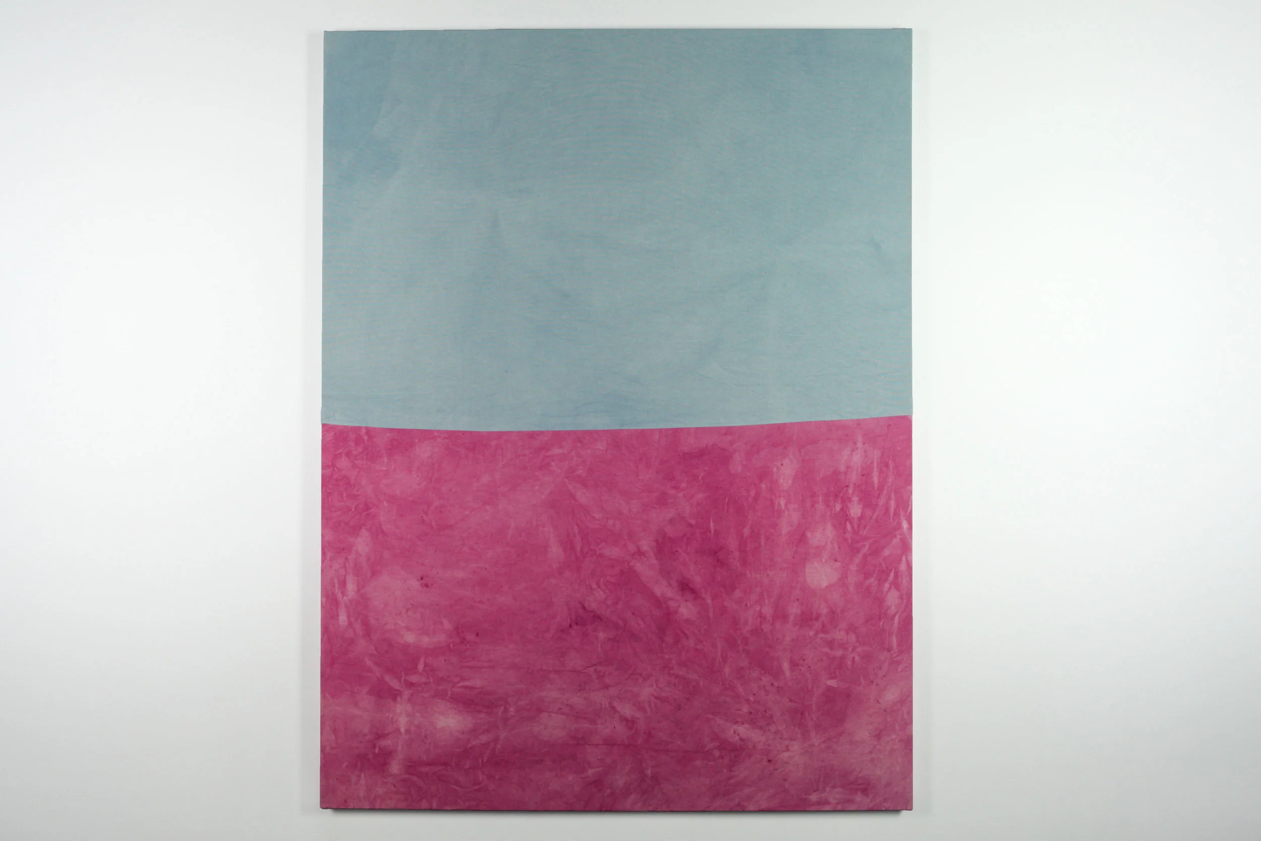 Cochineal & Cabbage, 2016