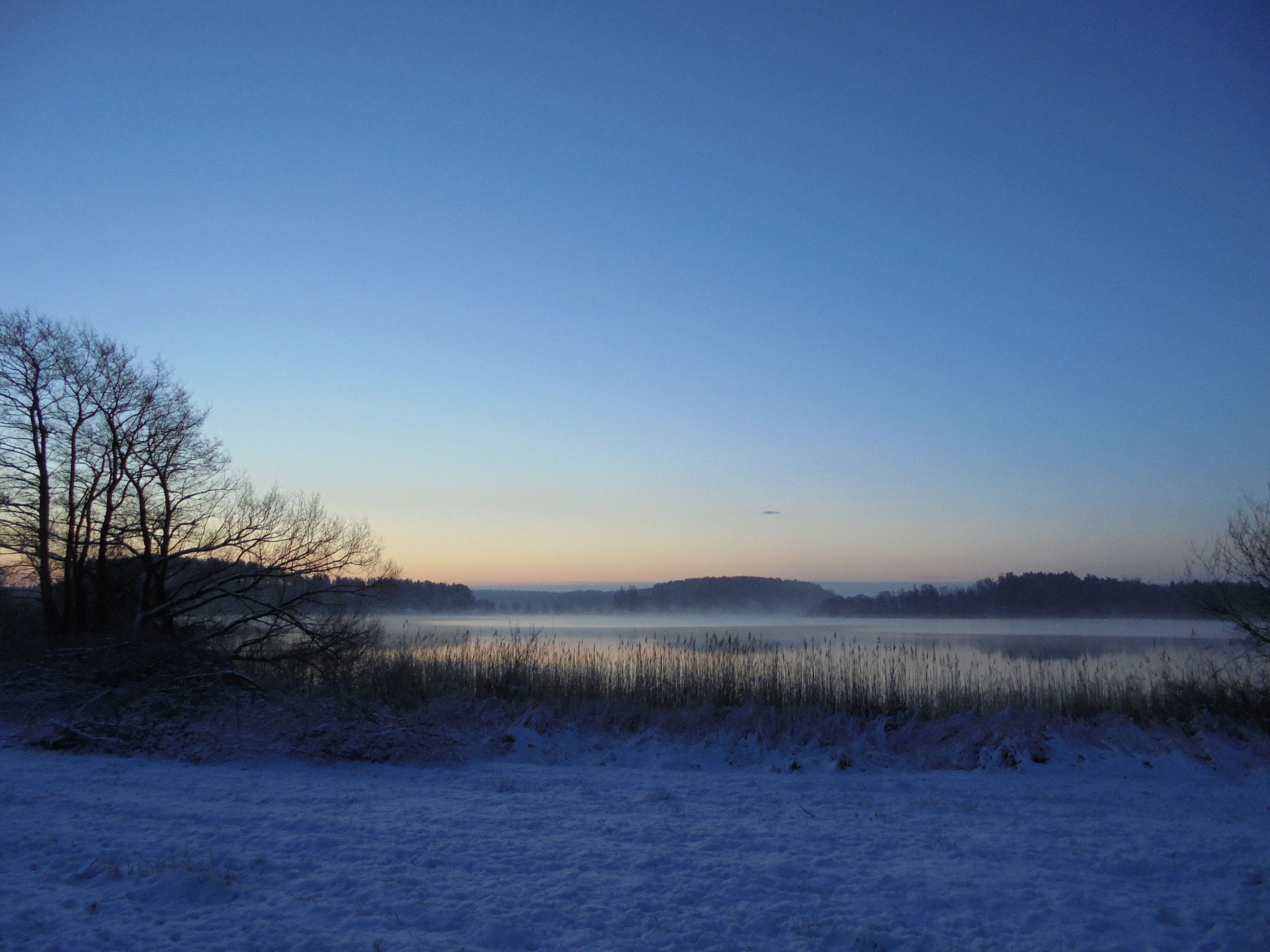 Winter_1 Feisneck-Nebel_©BEWAHREN Ferienhaus eG.jpg