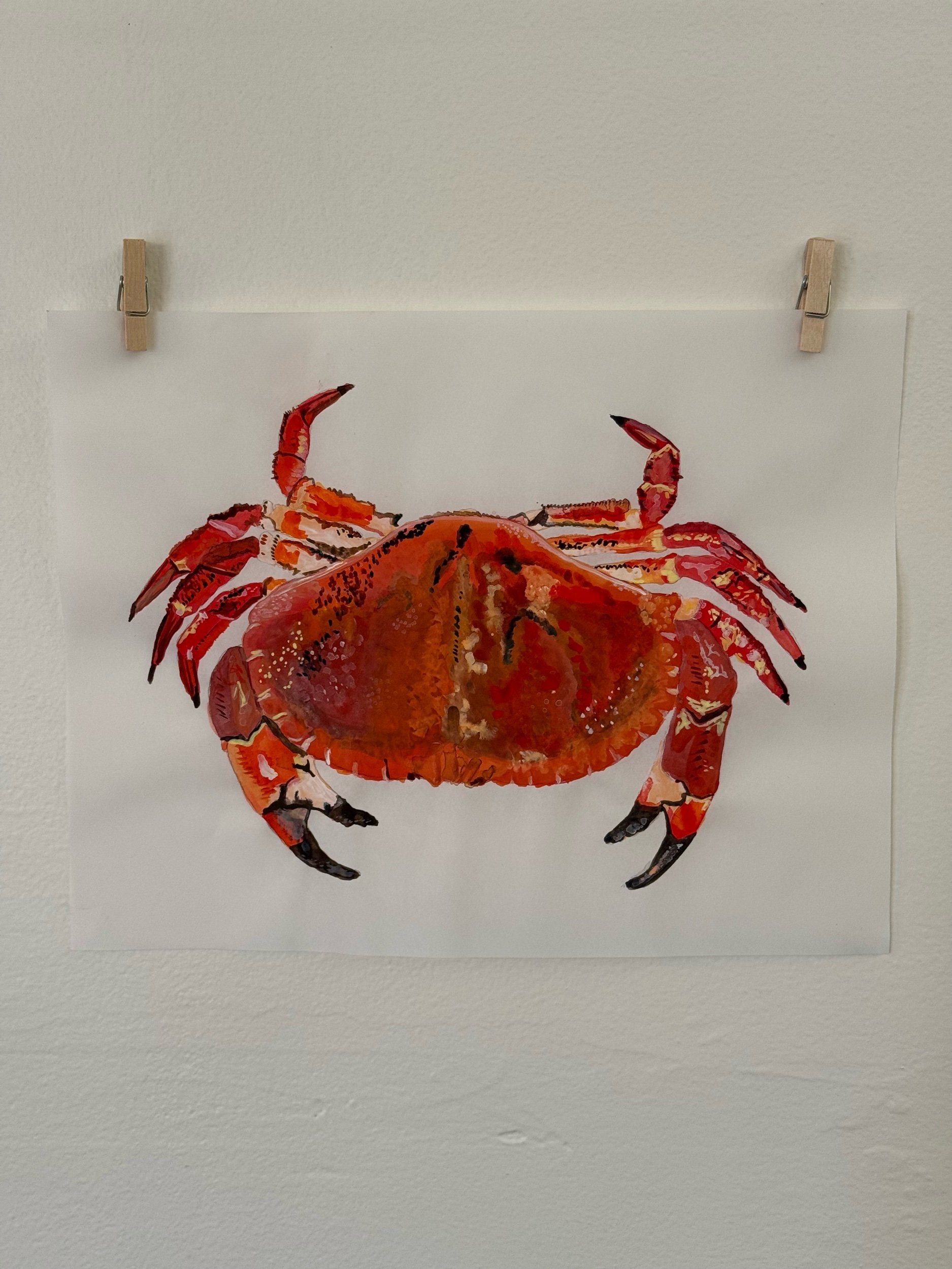 battle crab