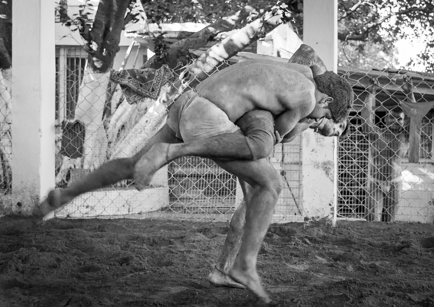 © Ayash Basu. Gaurav Tiwari having lost his first round, watches from behind the fence. Suraj Kant's second round with Pankaj Patel starts off with the latter gaining early ground. Elder wrestlers like Nandu Yadav and others are inside the akhara (pit) giving tips and instructions to both, while youngsters watch, listen and learn.