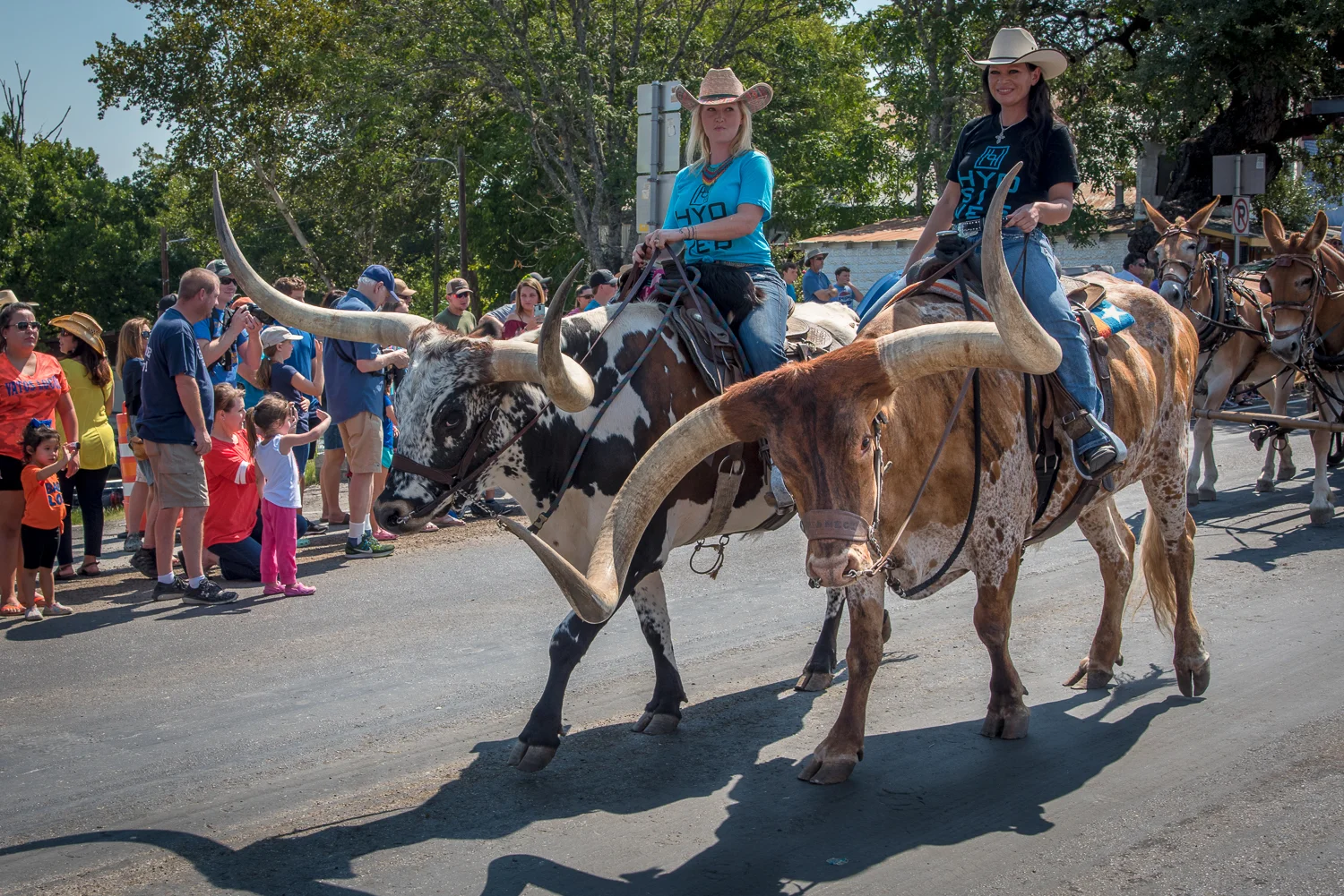 © Ayash Basu. Women continue to be a significant force in both ranch and professional rodeos. Many women wranglers have regular jobs — nurses, accountants, entrepreneurs — in addition to cattle responsibilities. Here, these women lead a section of Bandera's cattle parade, a popular event held every Labor Day weekend. Bandera 2017.
