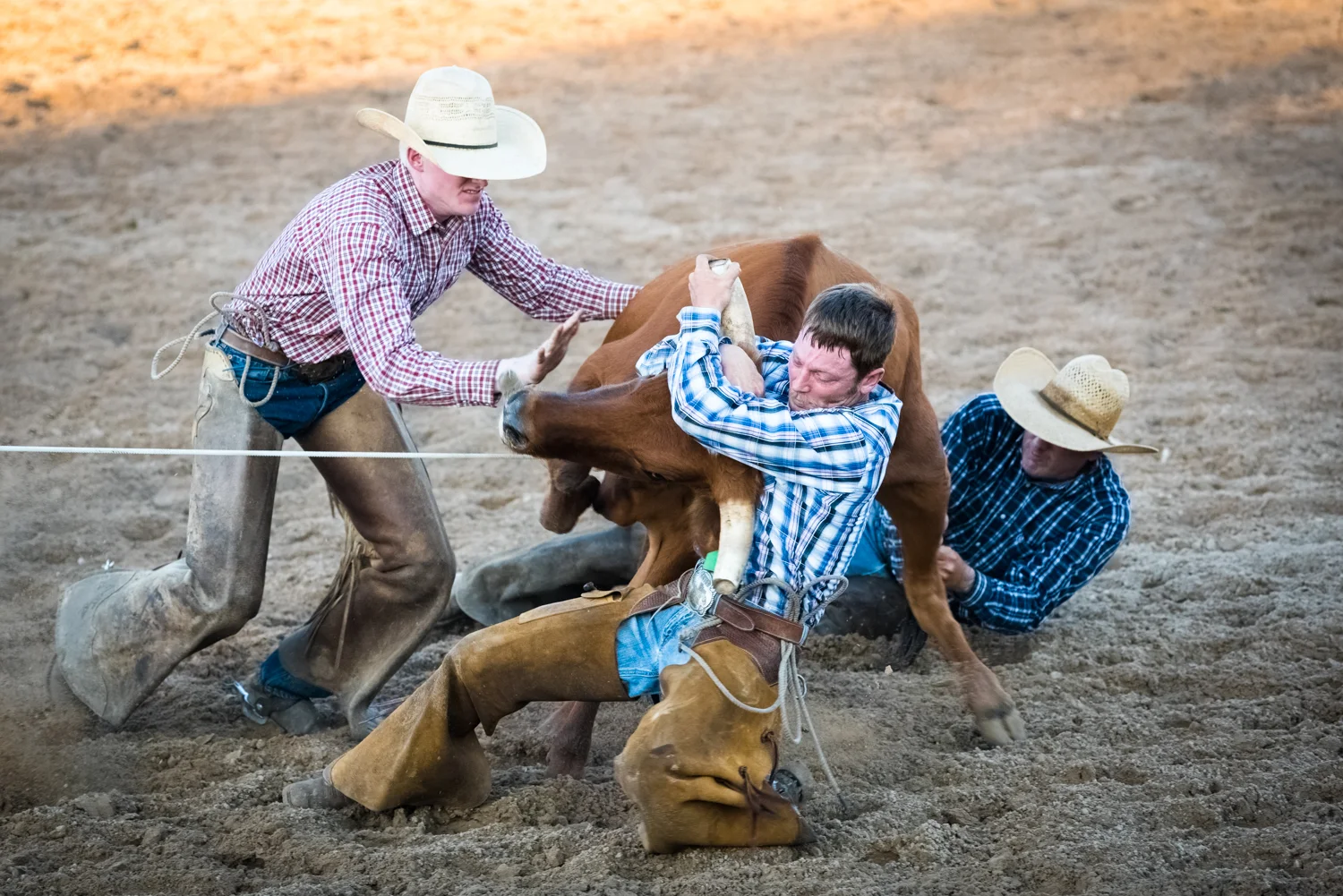 © Ayash Basu. Ranch rodeos are often "a day in the life of" exhibitions involving cattle roping and branding. Bandera 2018.