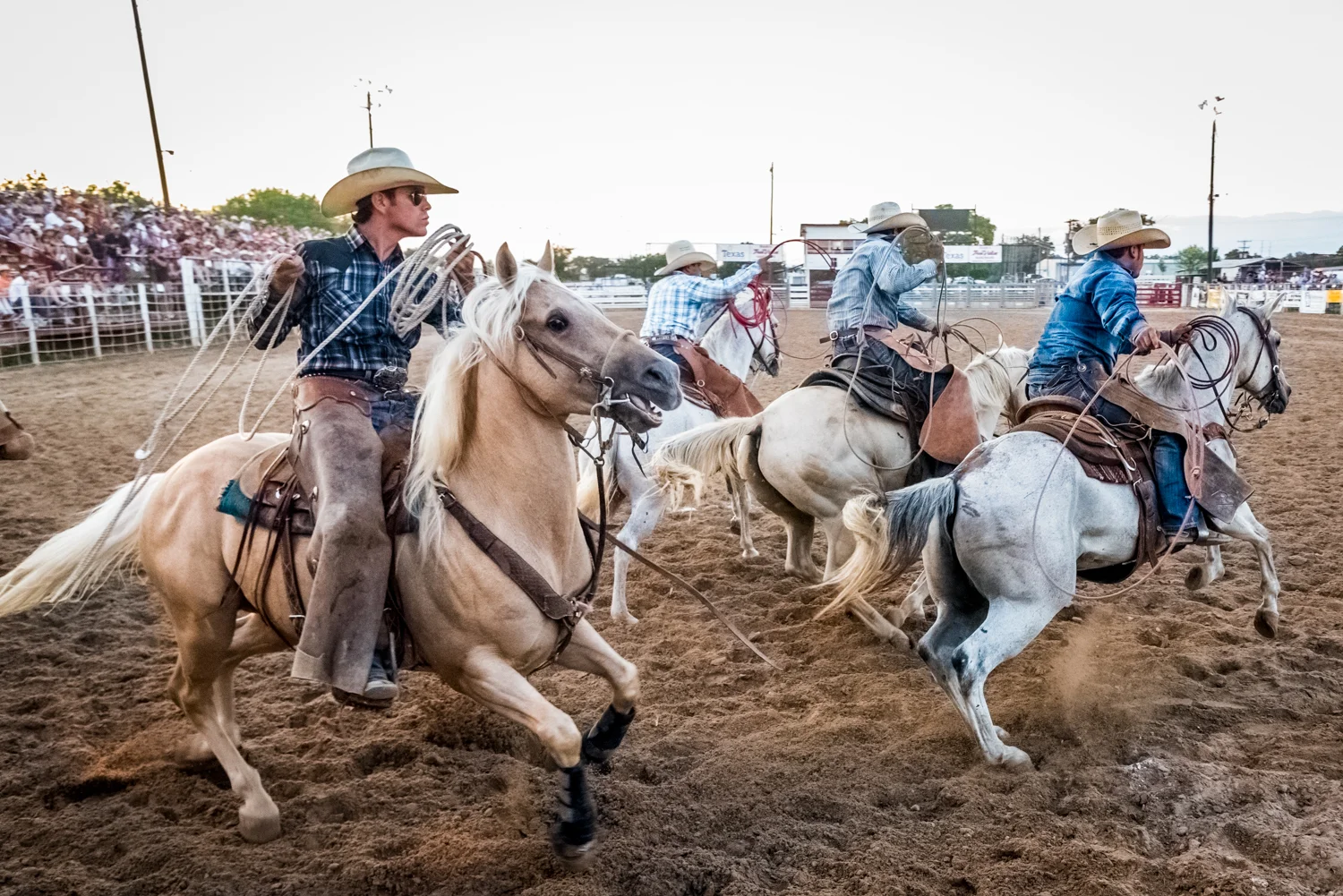 © Ayash Basu. One can get within a few feet of the action at these rodeos. I click away glued to the arena fence as this team gallops away to a timed rope. Bandera 2018.