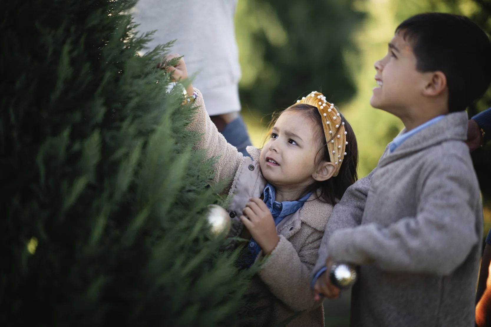 7R407705.jpg