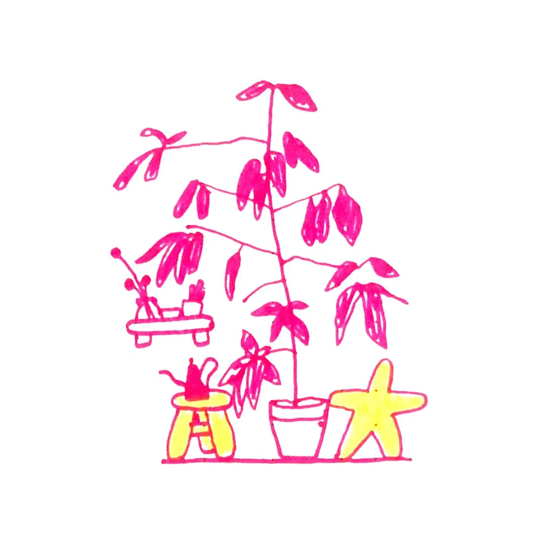 FeedDrawings02.jpg
