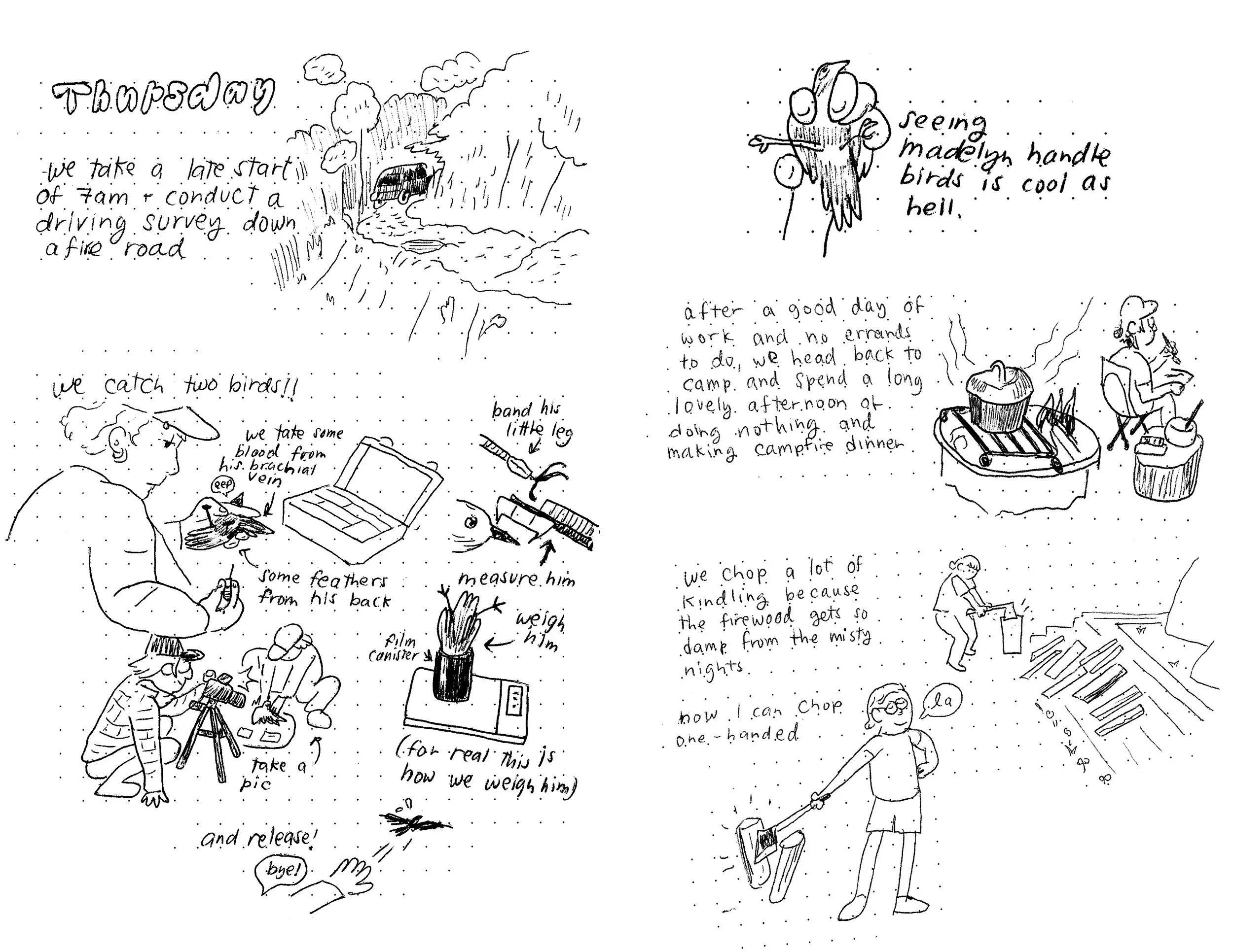FIELD_SEASON_013.jpg