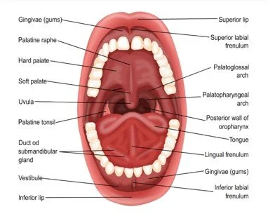 Picture1.jpg
