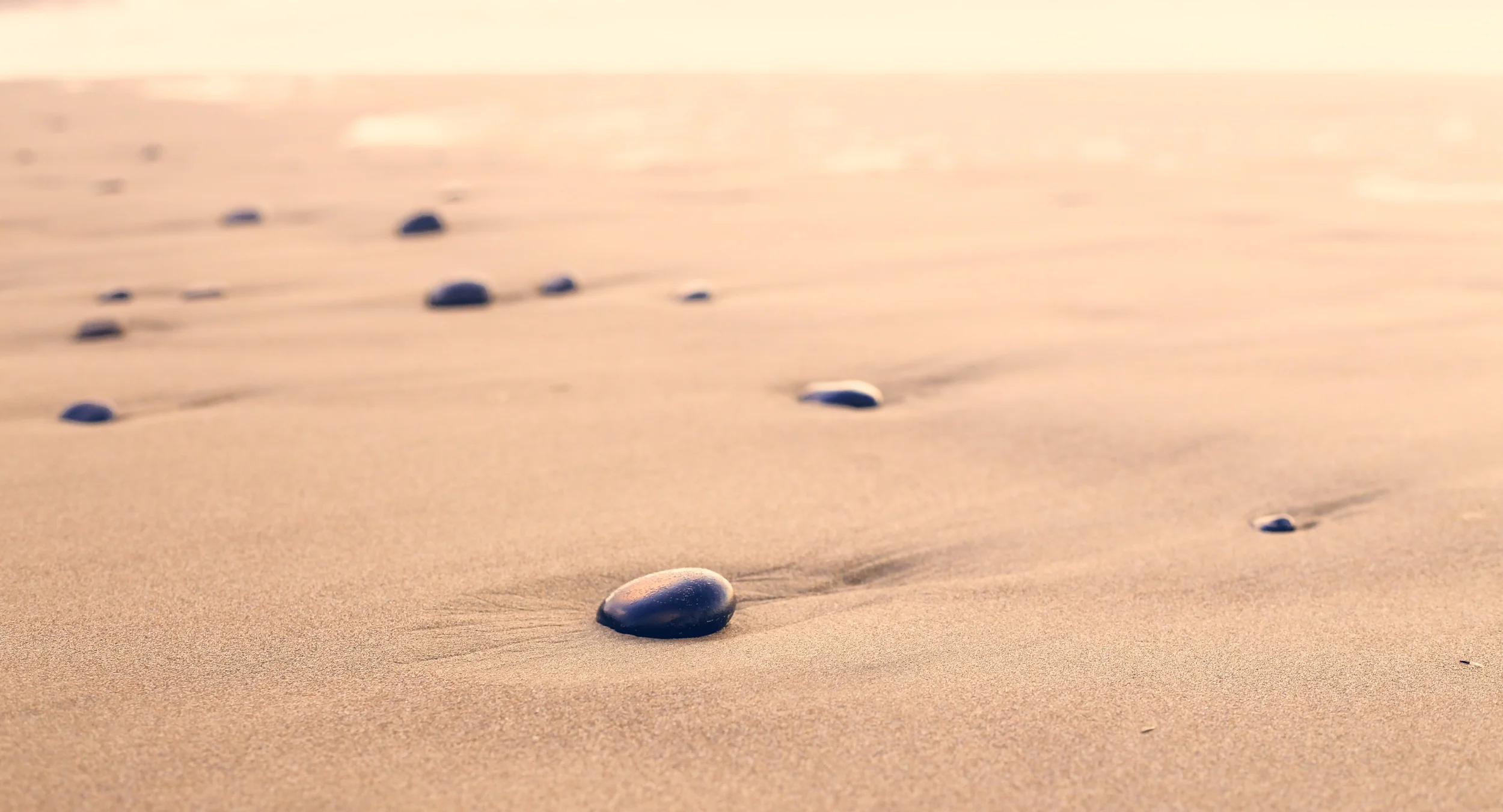 Rocks in Sand.jpg