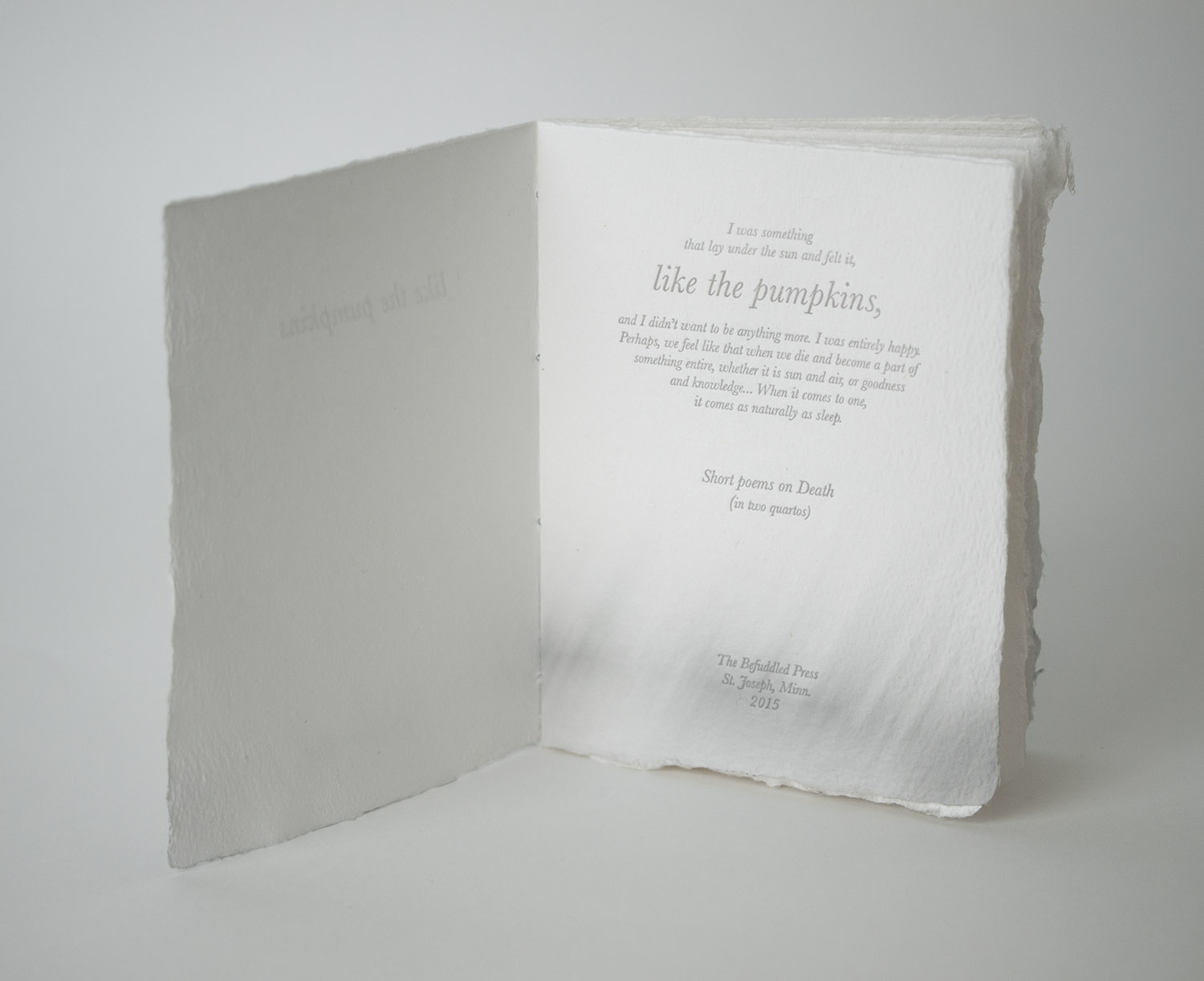 The cover and title page are pigment printed with an original photographic image by SK Murphy.