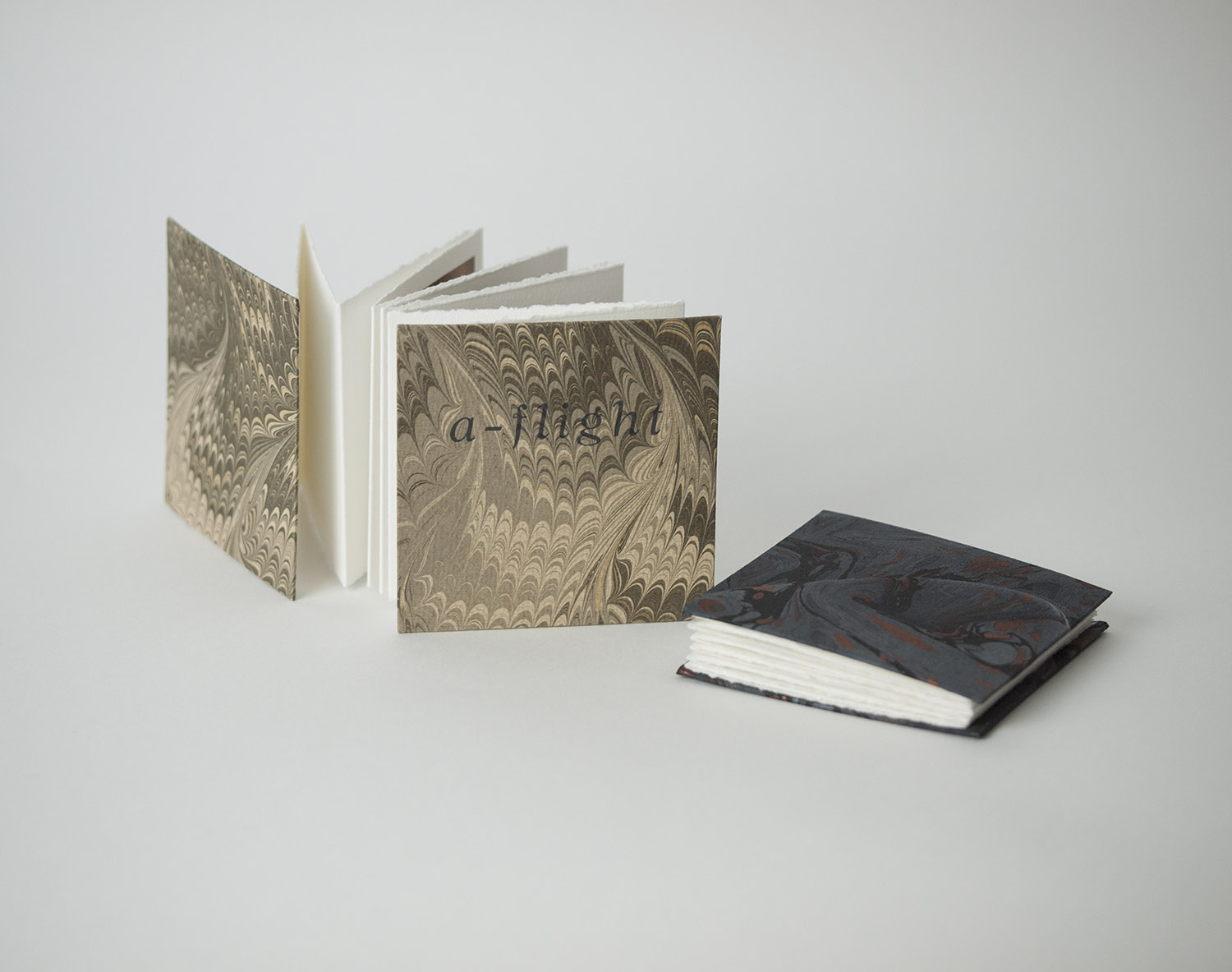 A-flight is an accordion fold artist book, in an edition six copies, with six additional artist proofs. The edition features the black covers and the artist proofs, the tan covers.