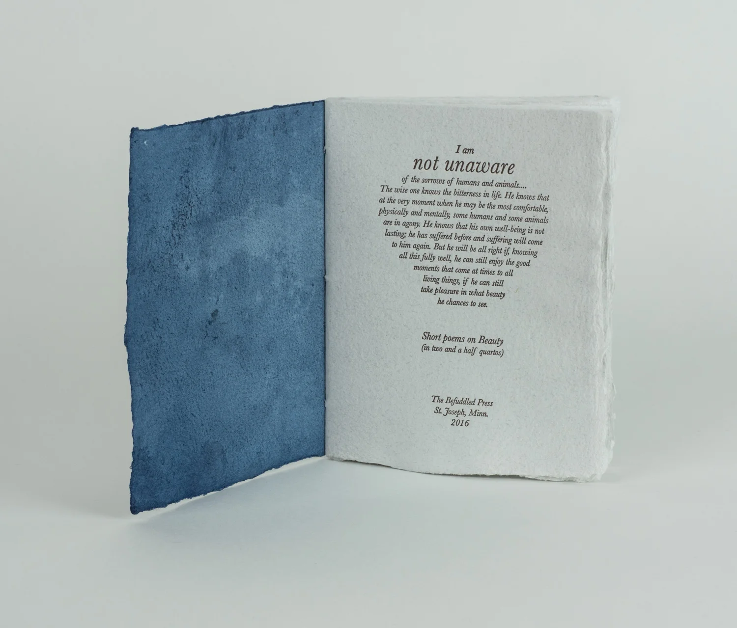 The cover is a unique hand-dyed indigo print by SK Murphy.