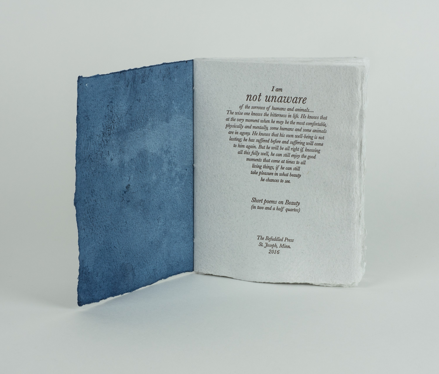 The cover is a unique hand-dyed indigo print by SK Murphy.