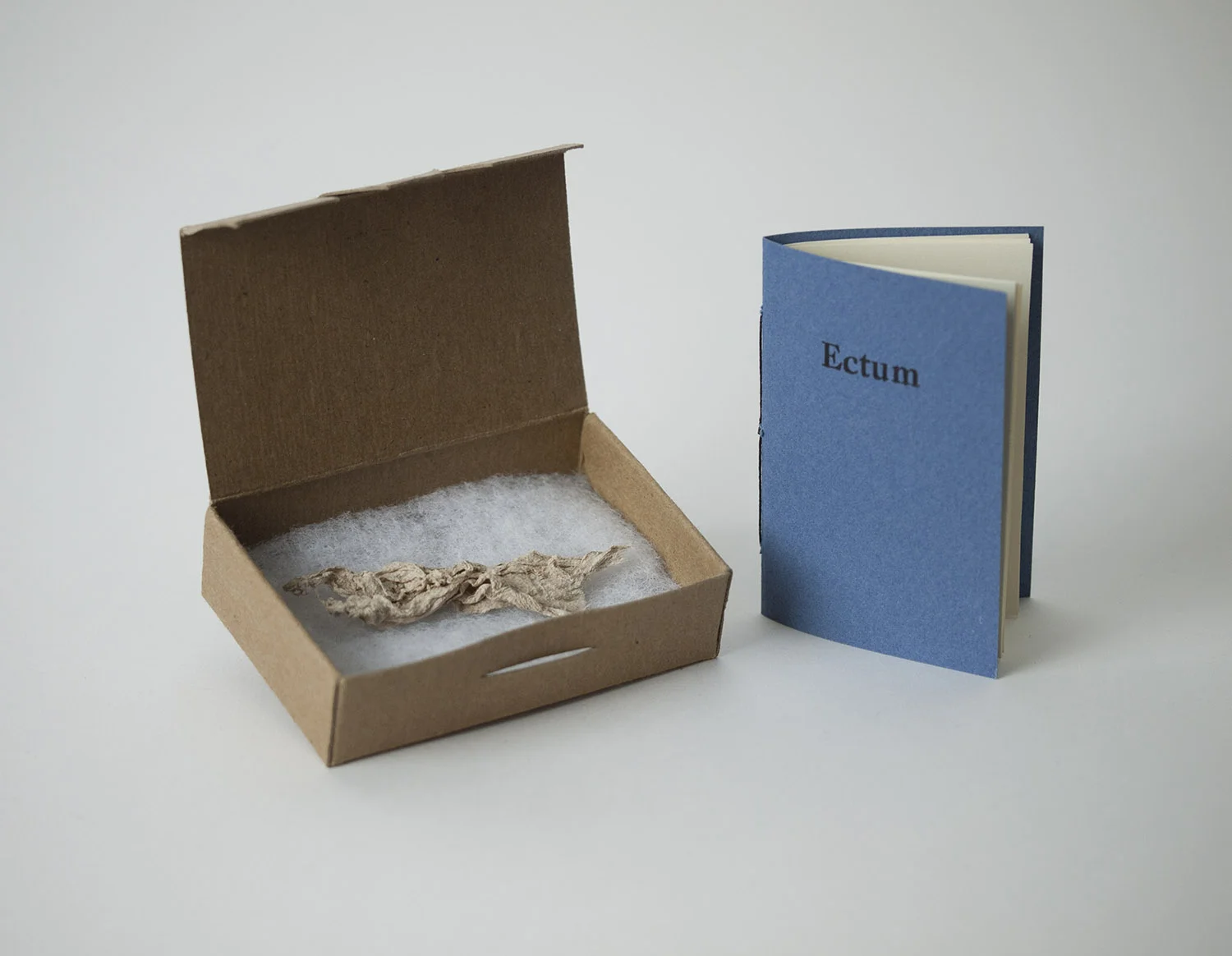 Ectum