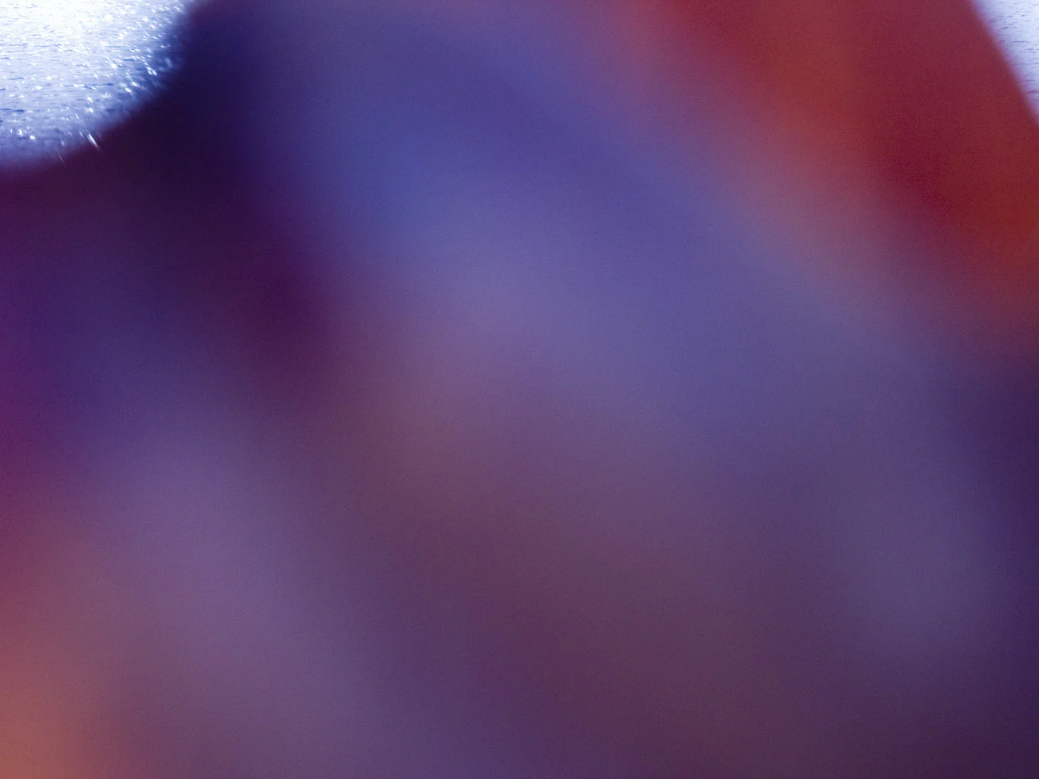 Left Behind Series 1 Image 1.jpg