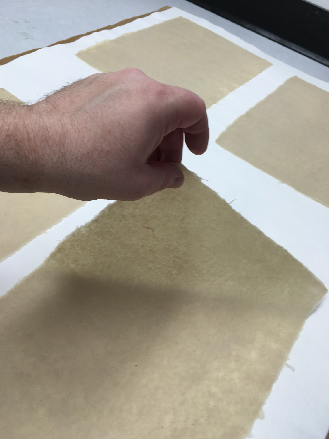 Drying Sheets