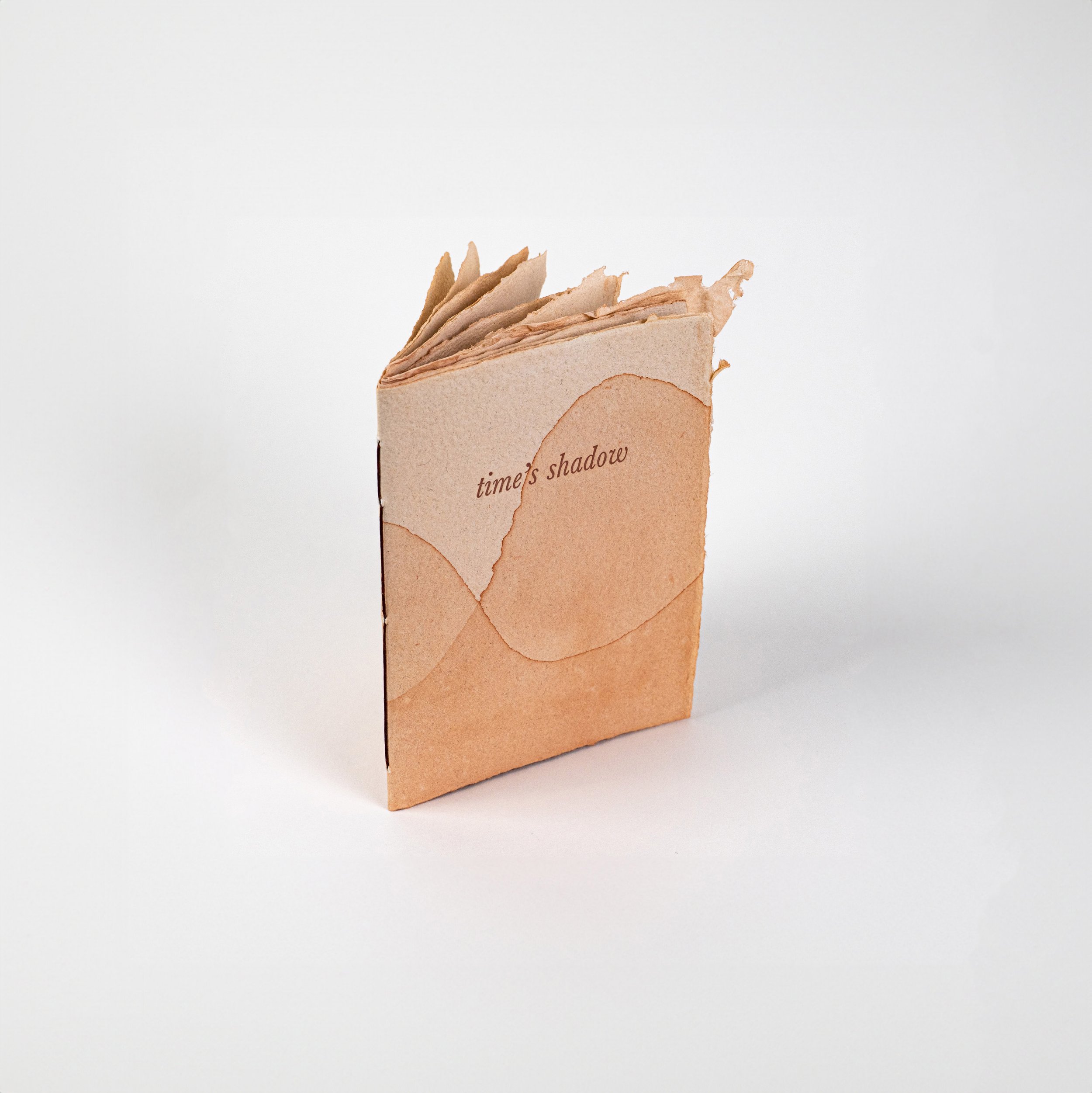 Artist Books