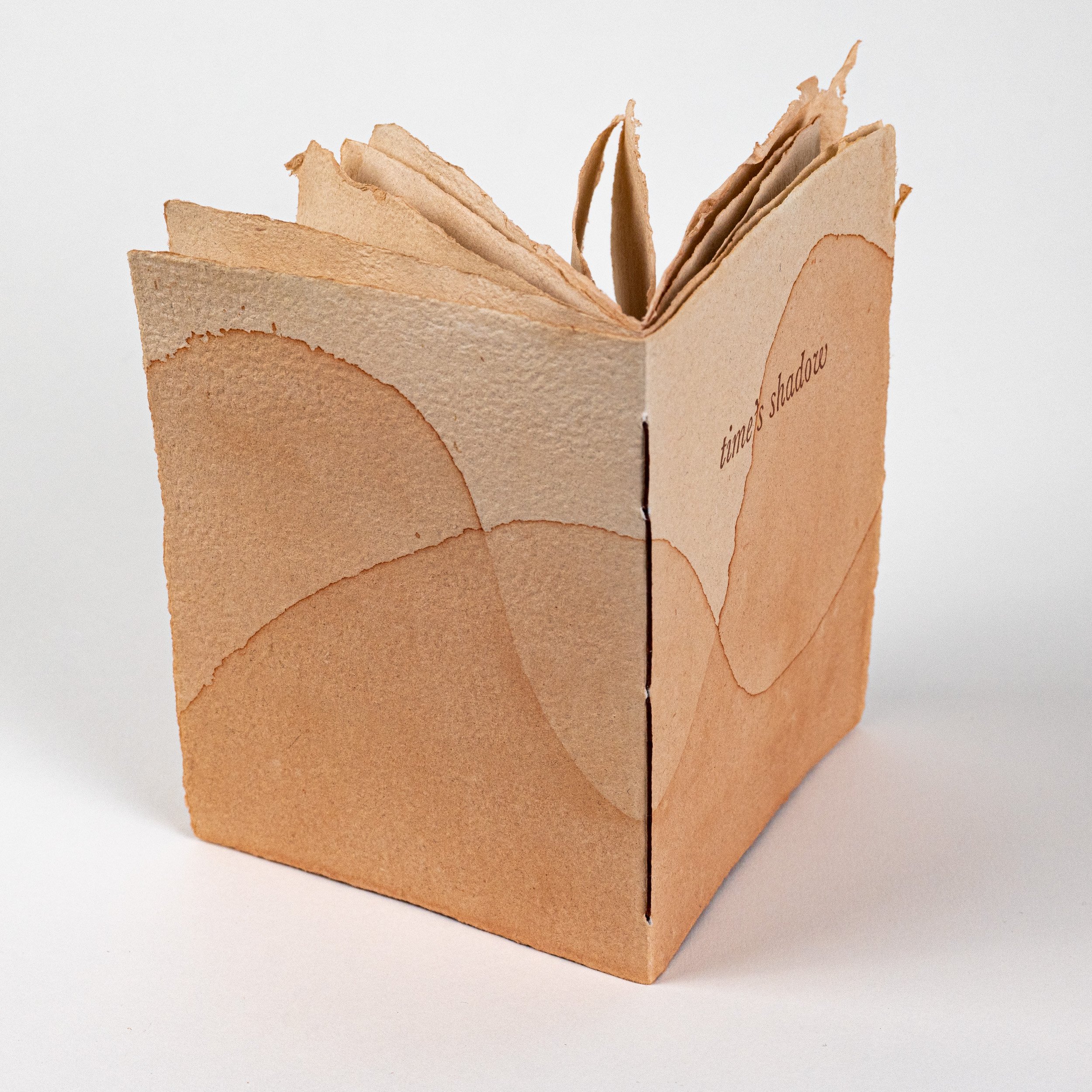 Time's Shadow 1to1-5.jpg