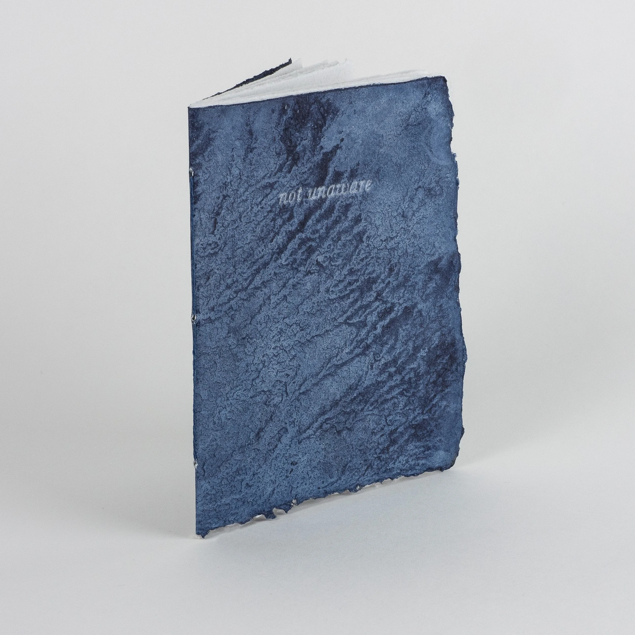 Not Unaware 1to1-2.jpg