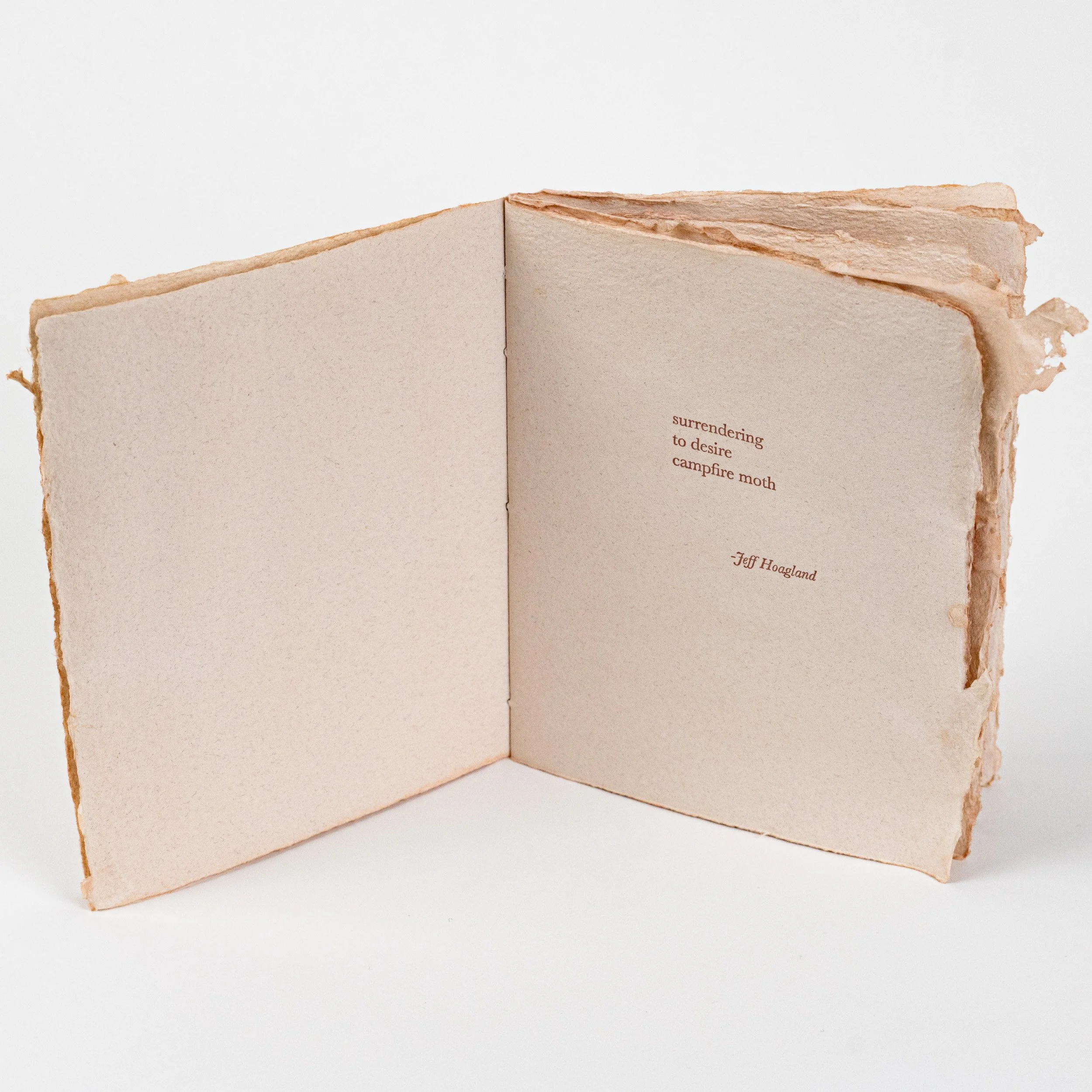 Time's Shadow 1to1-3.jpg