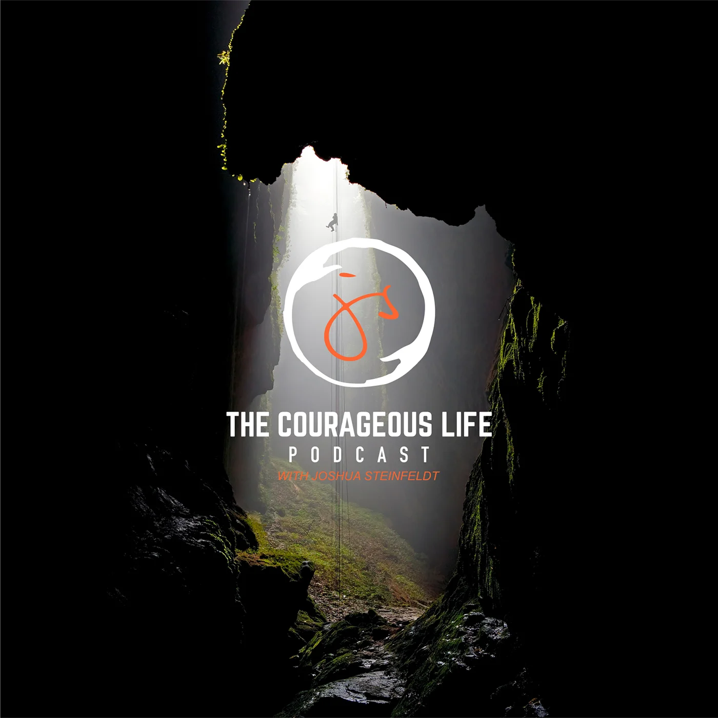 Courageous Life logo.jpg