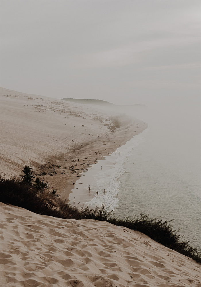 PYLA 2.jpg