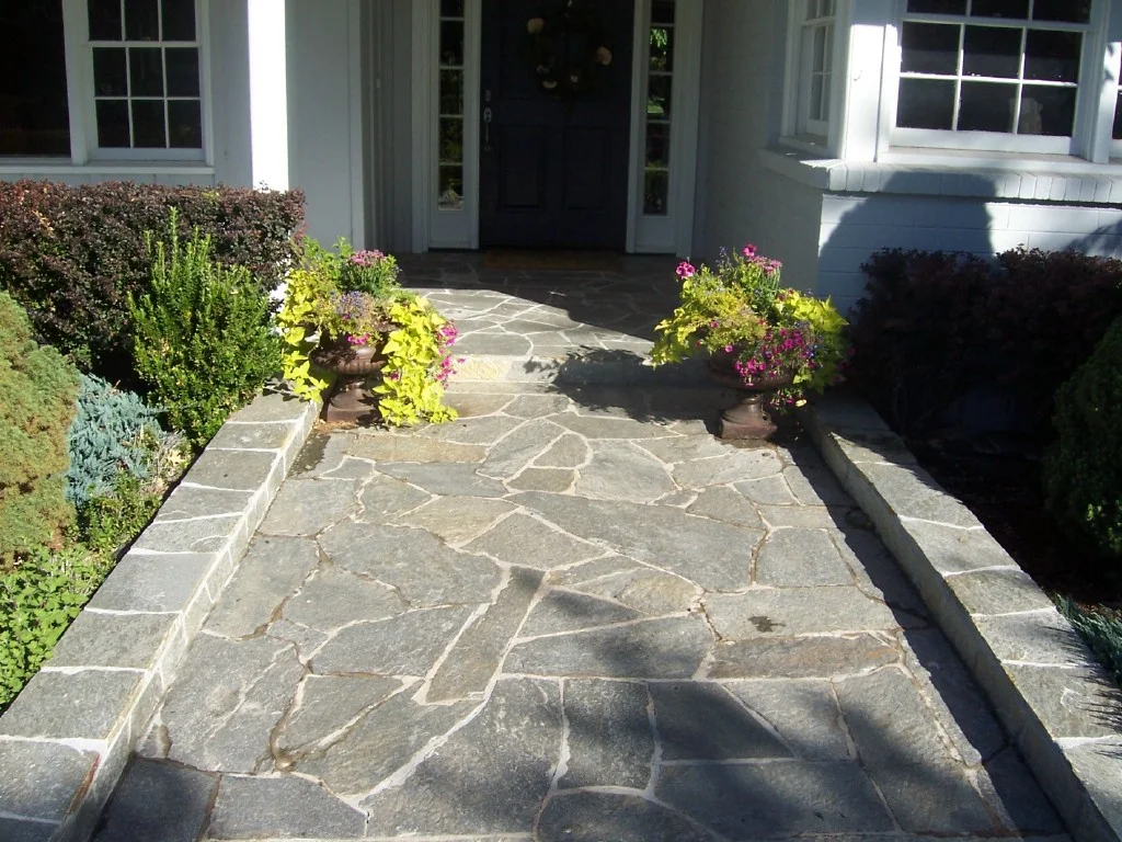 100_1901_resized-1.jpg