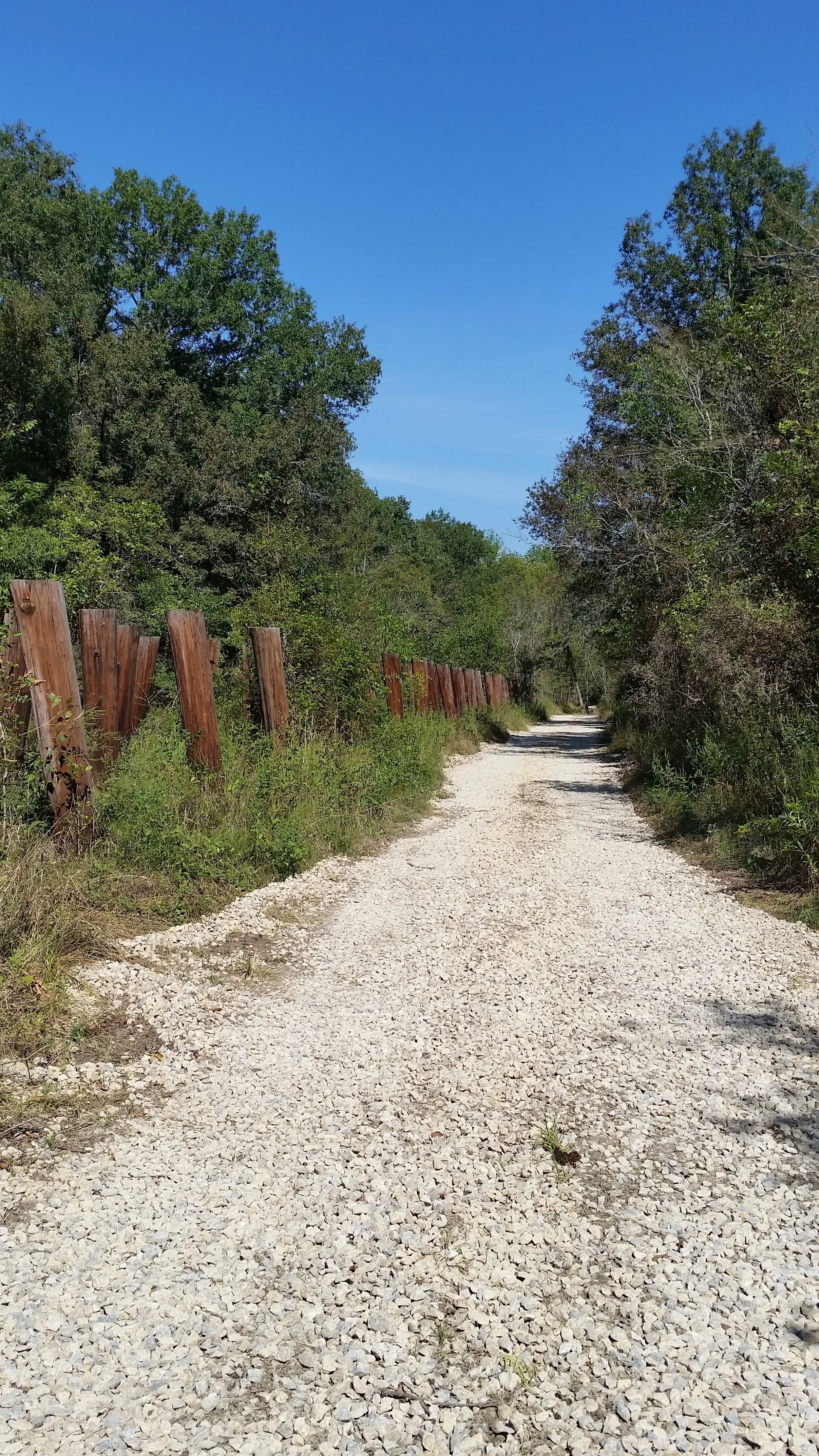 20140925_105927.jpg