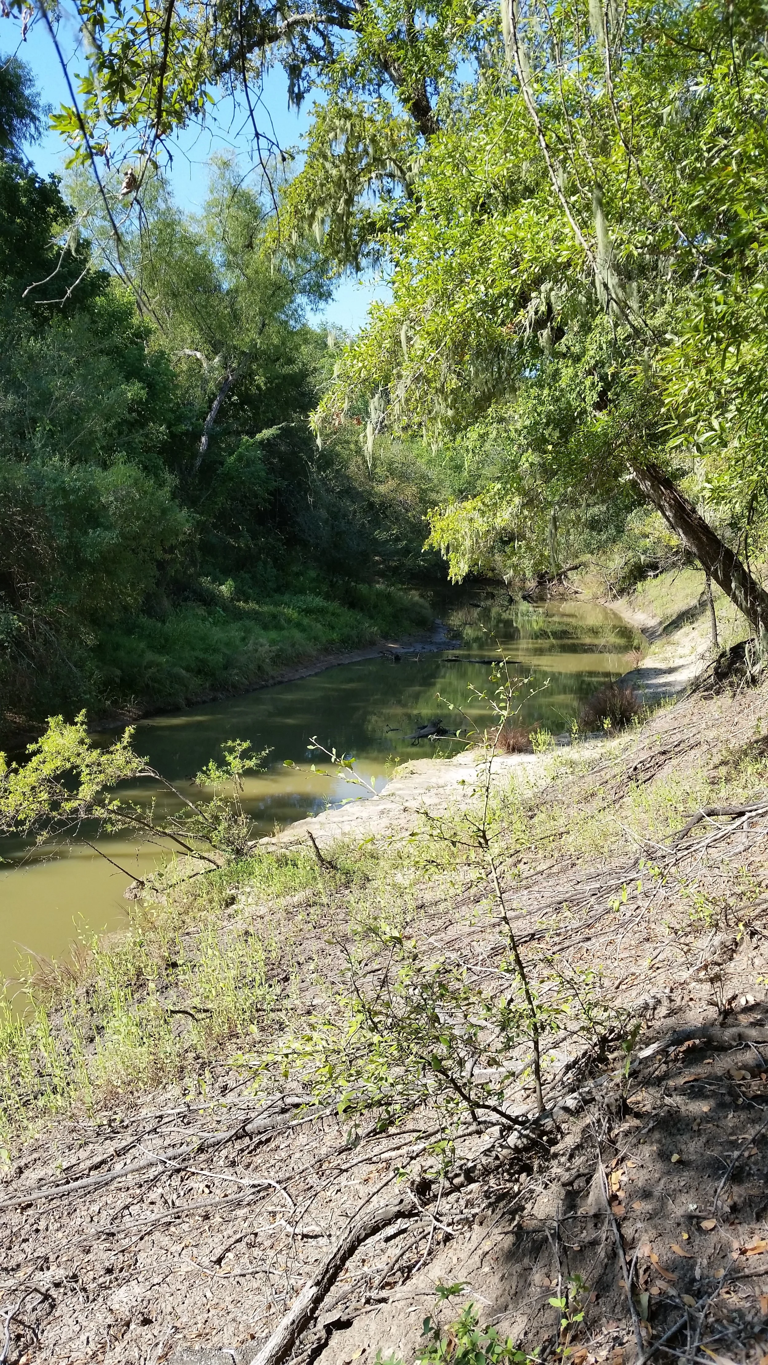 20140925_102749.jpg