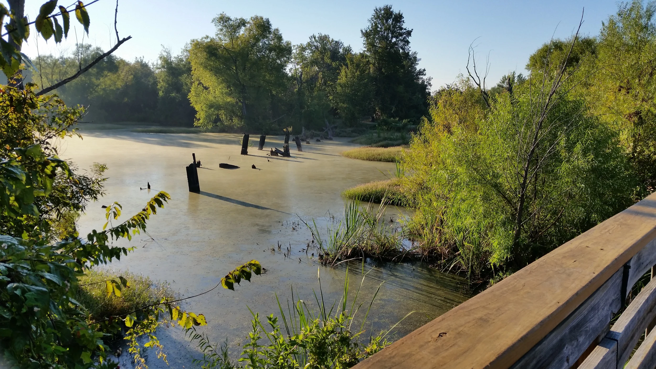 20140925_081655.jpg