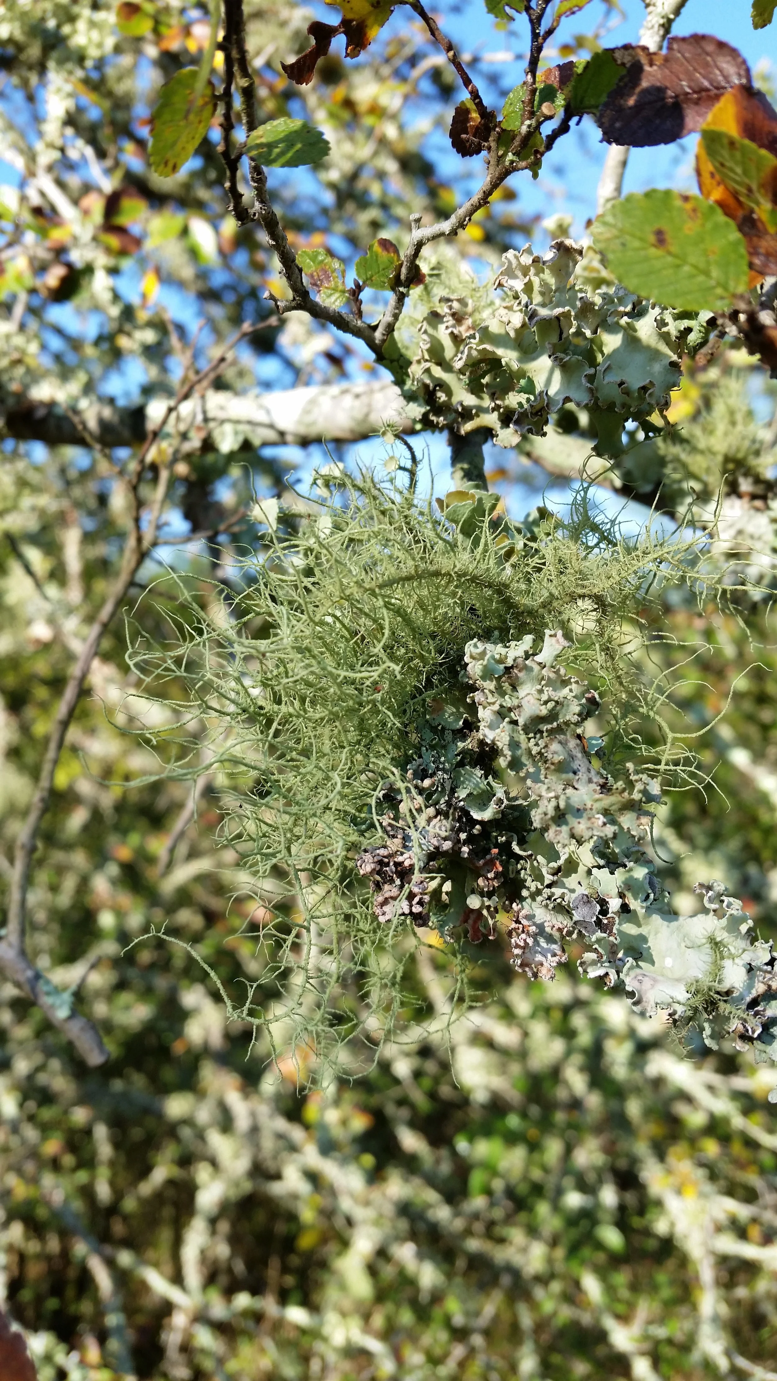 20140925_090551.jpg