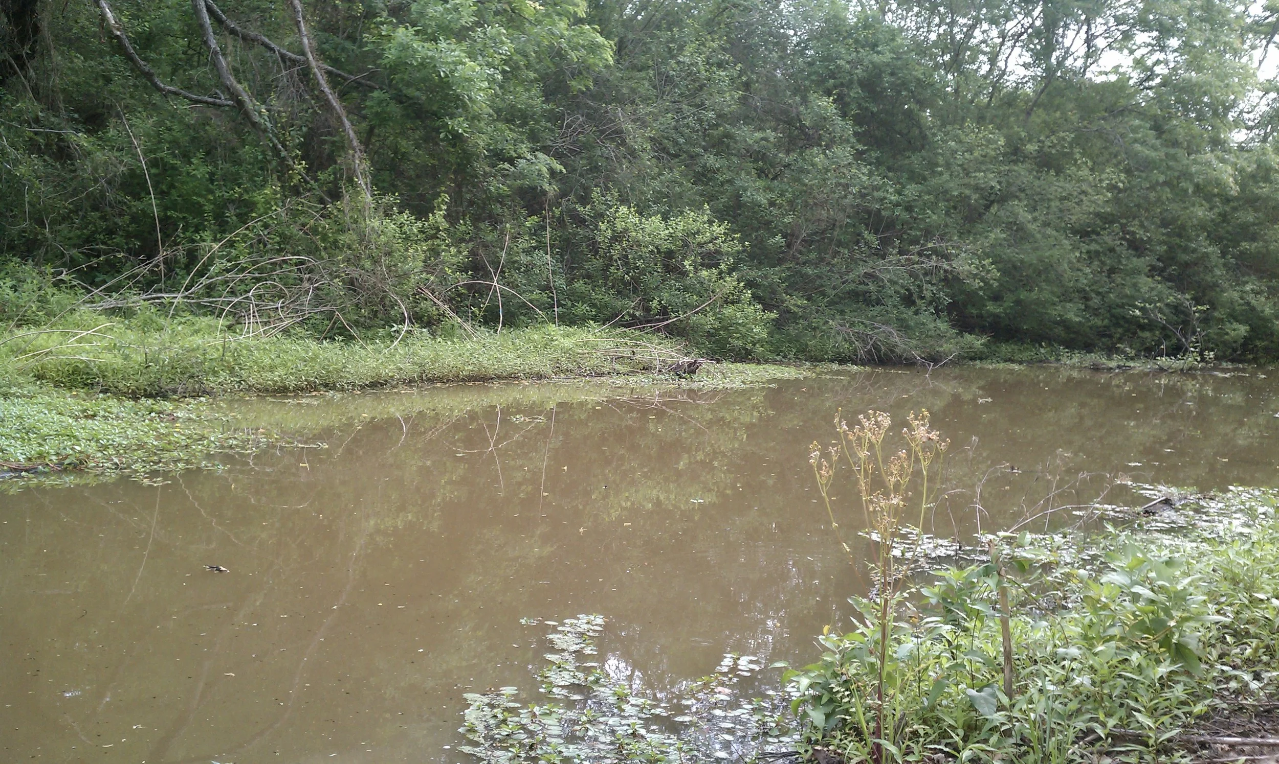 IMAG0018.jpg