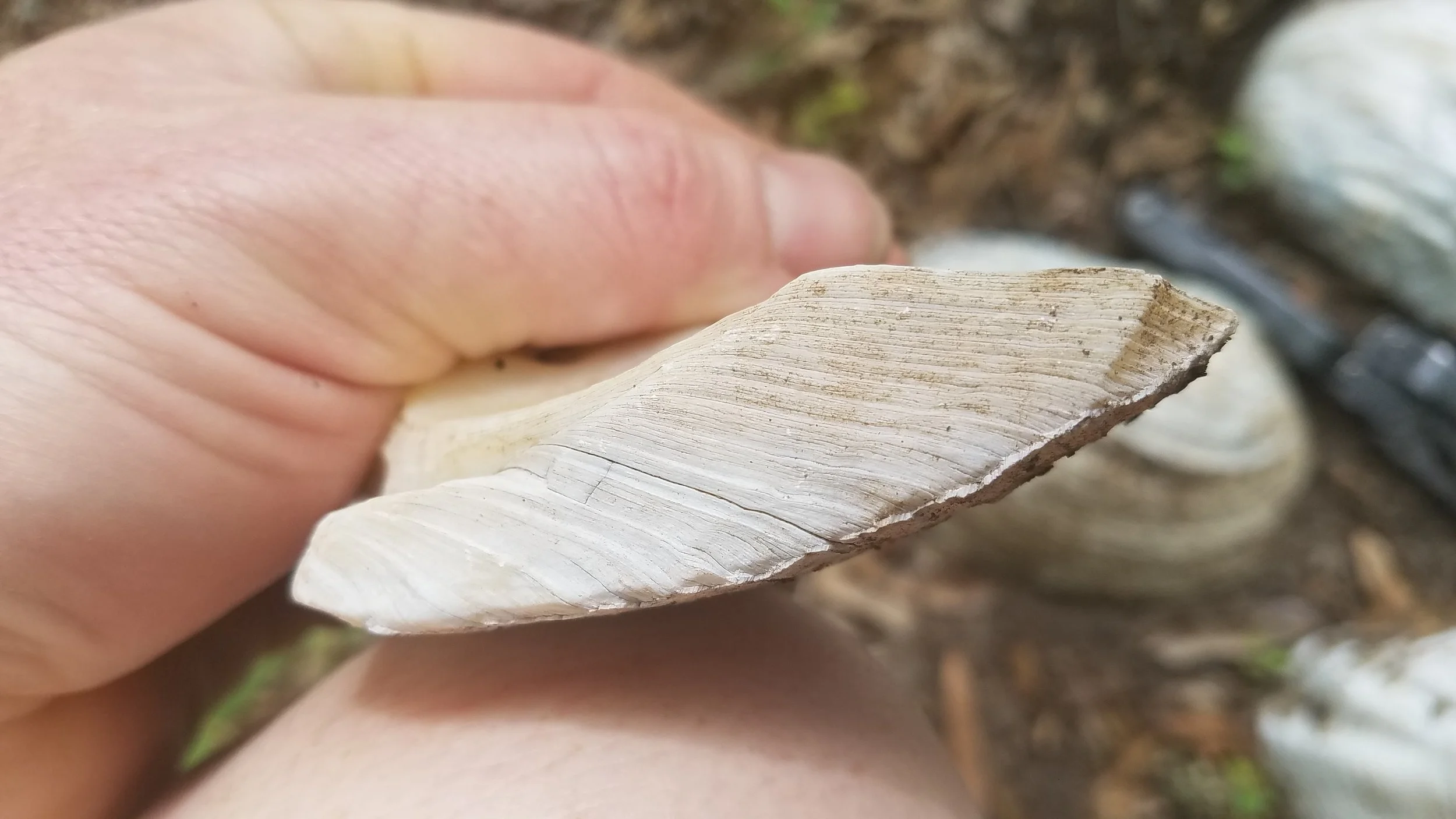 20170401_125322.jpg