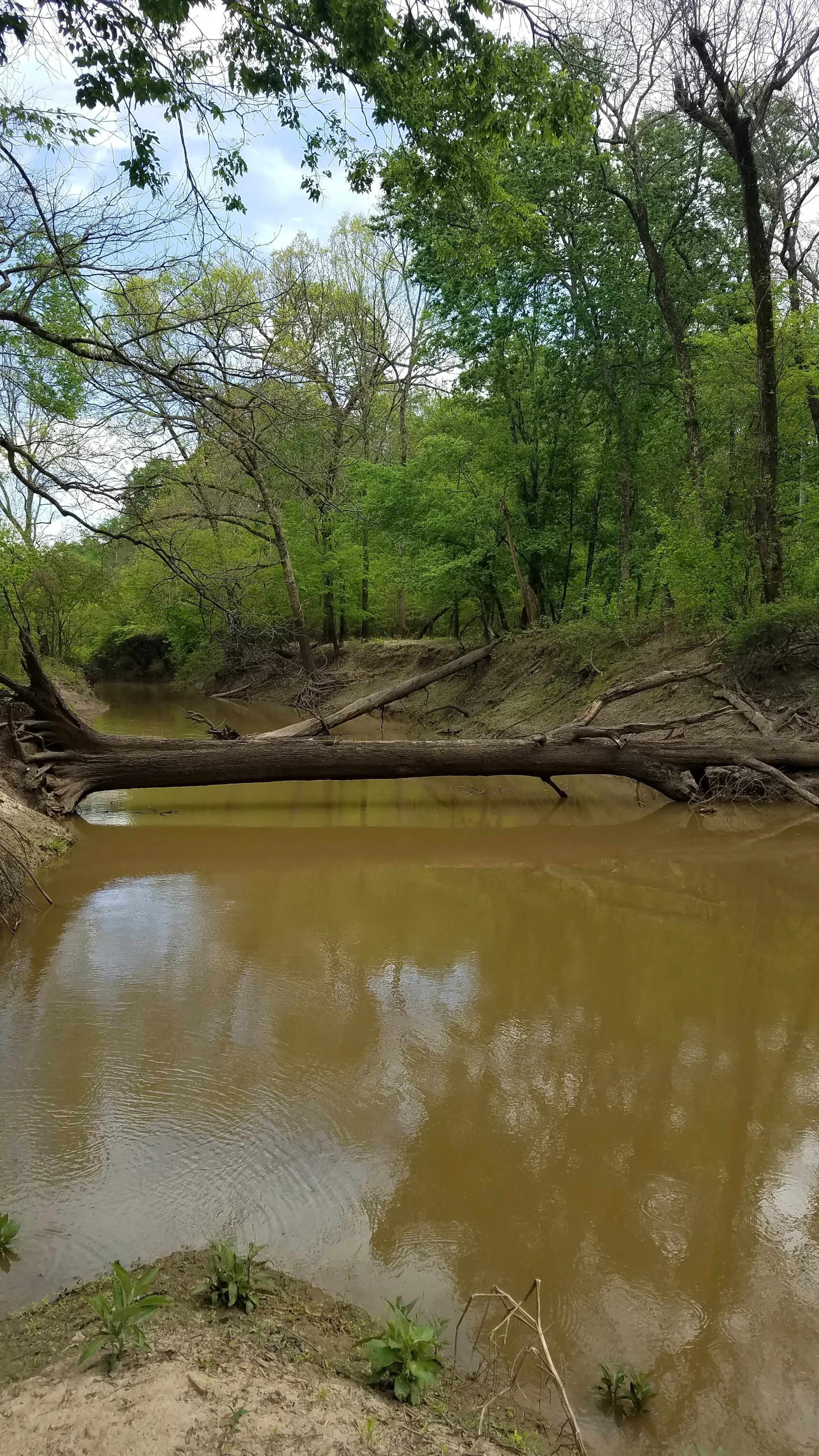 20170401_134245.jpg