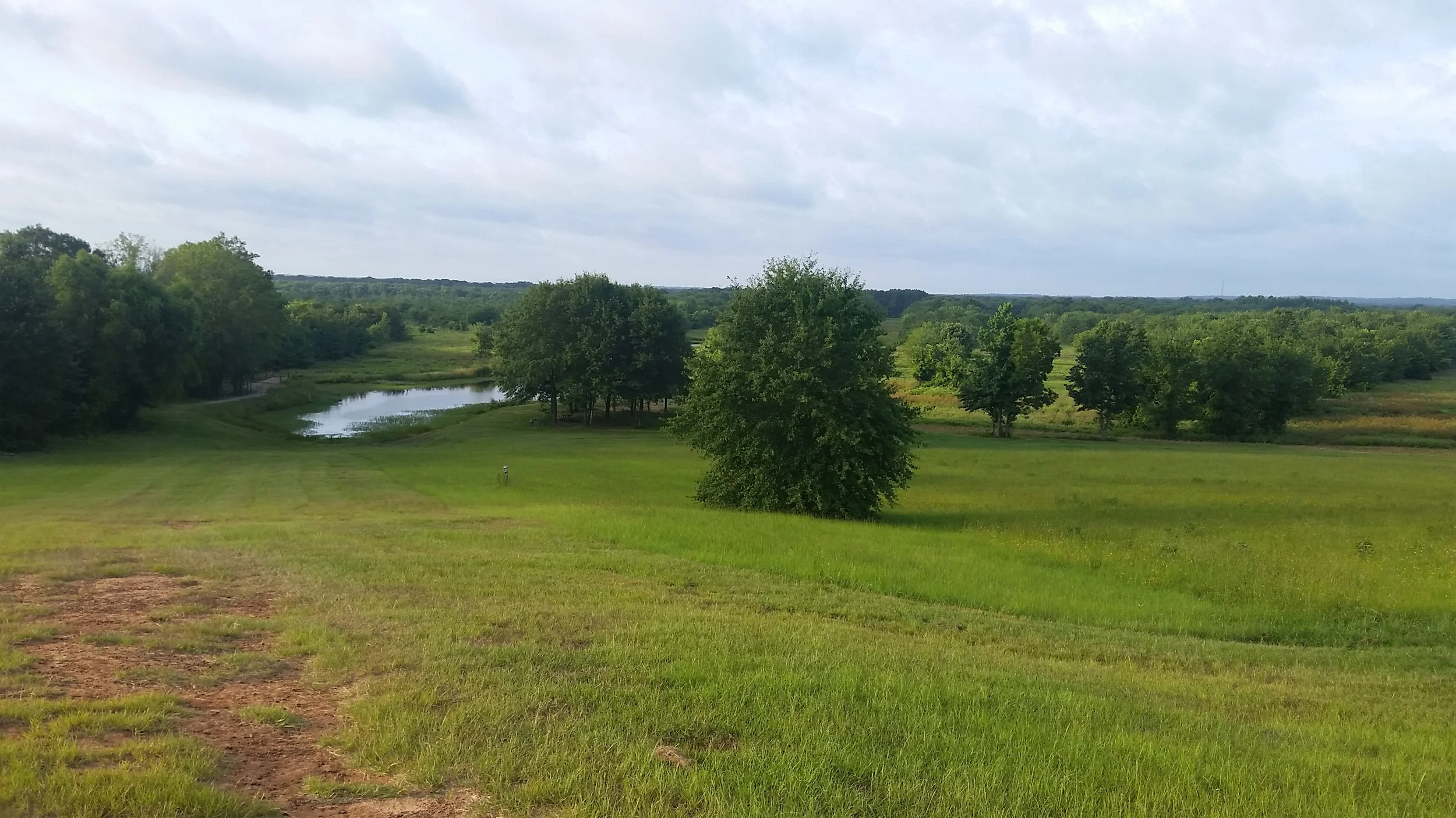 20160703_073043.jpg