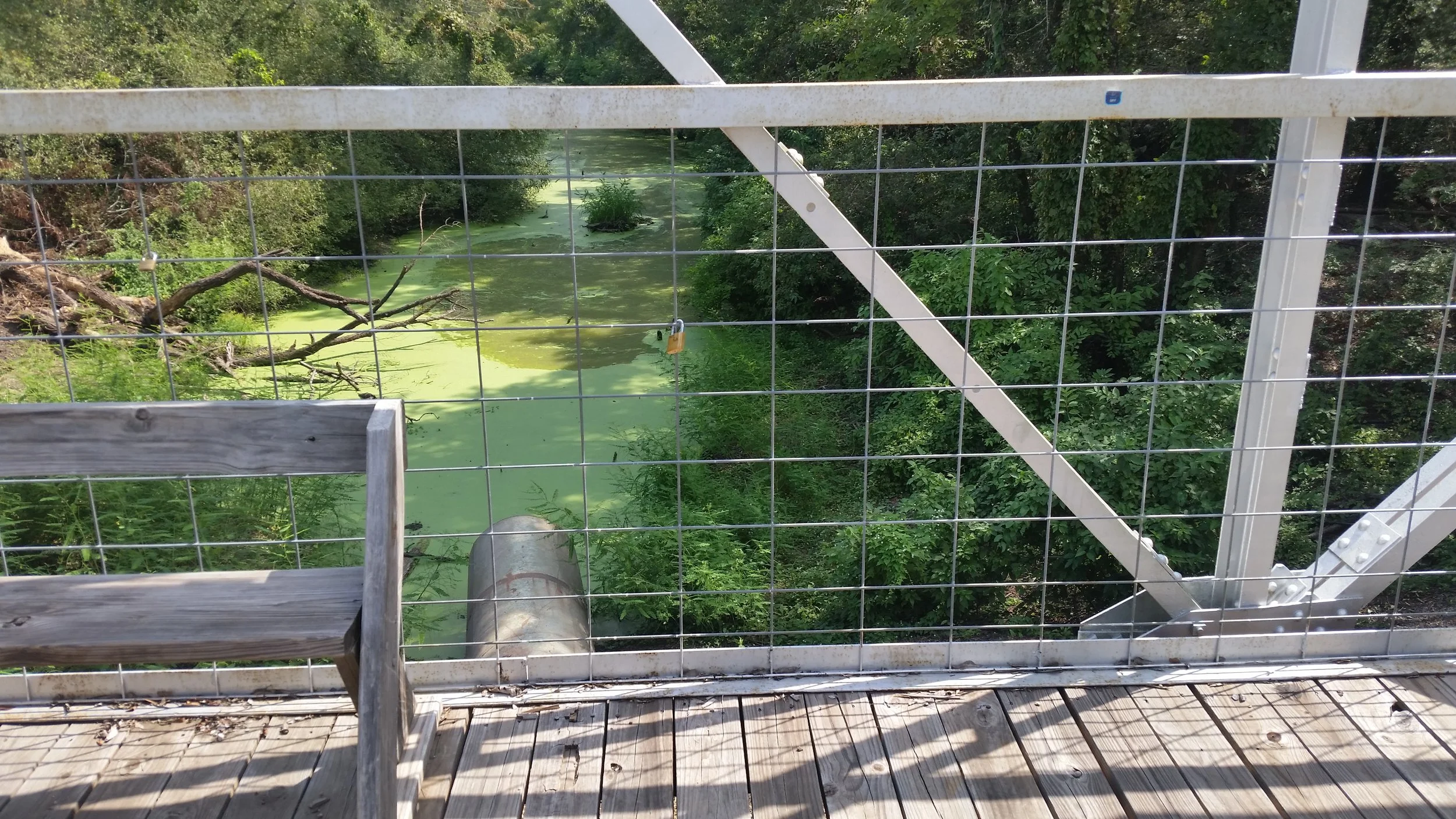 20150919_115213.jpg